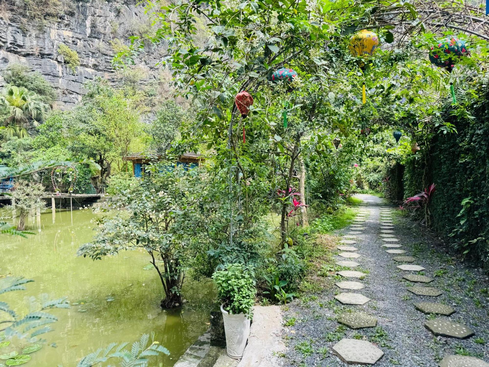 Valley - Thung Lung Xanh Nguyen Ngoai