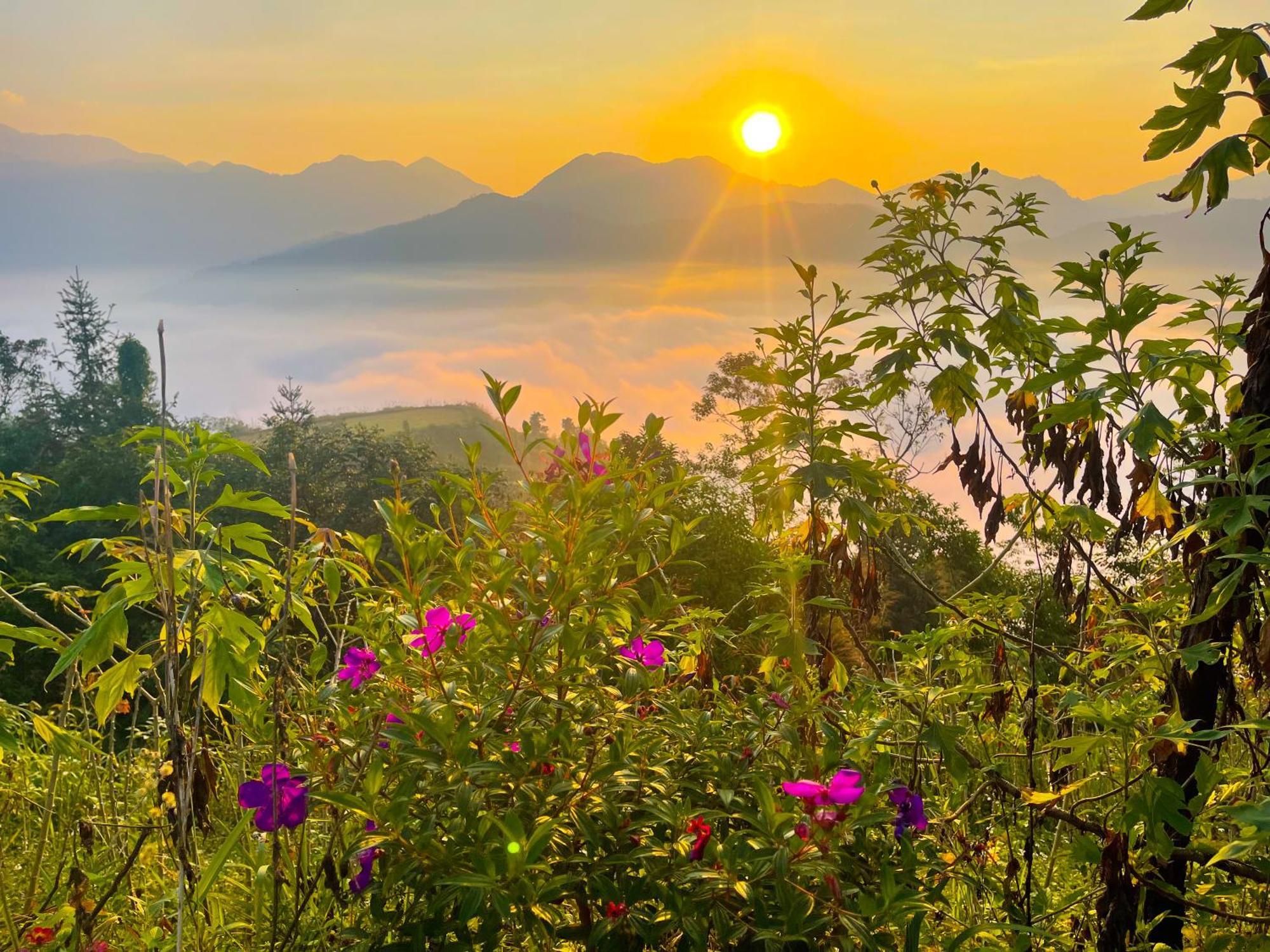Hoang Su Phi - Mong Ngua *