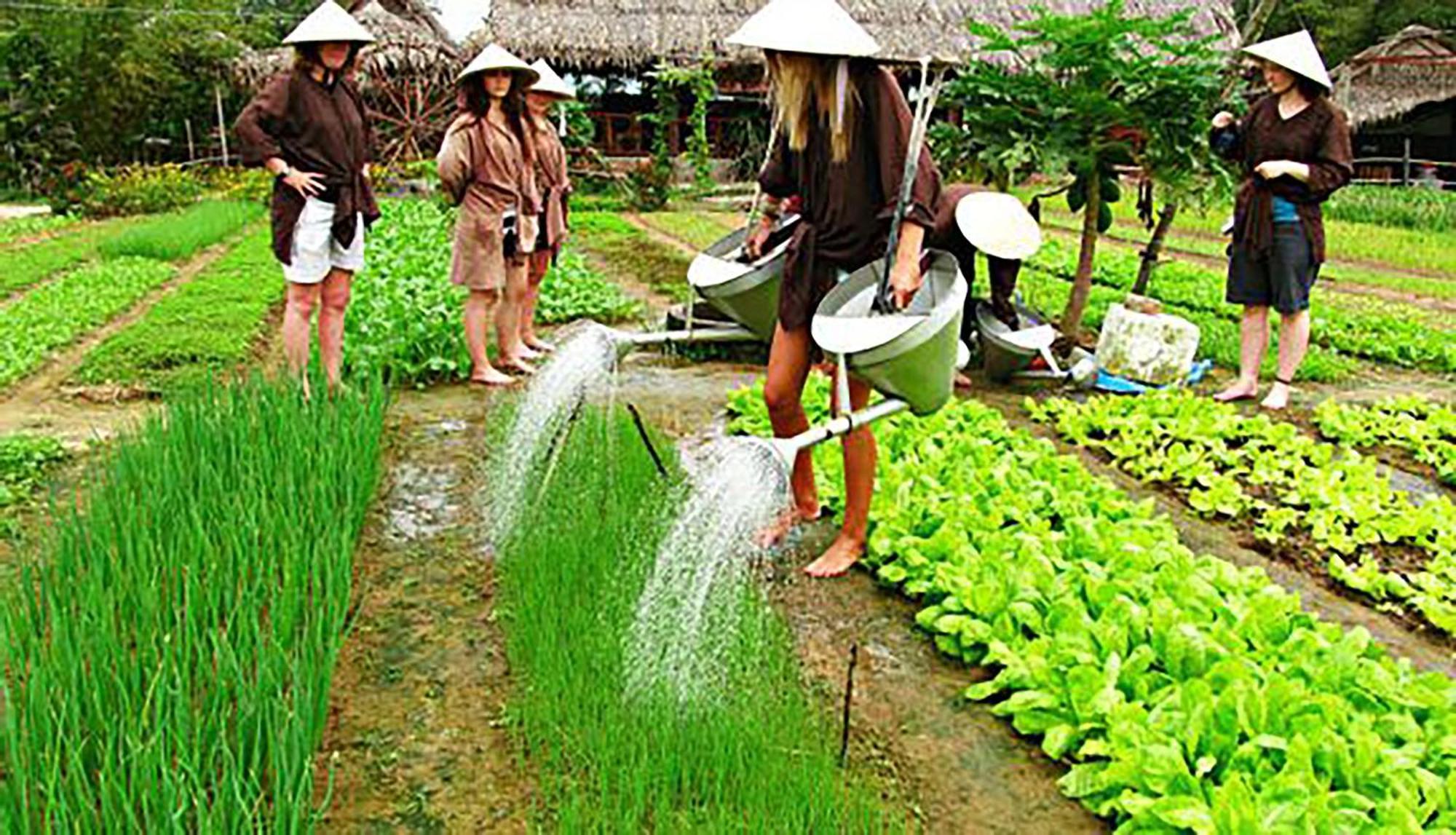 Ocean Front Khách sạn 4*