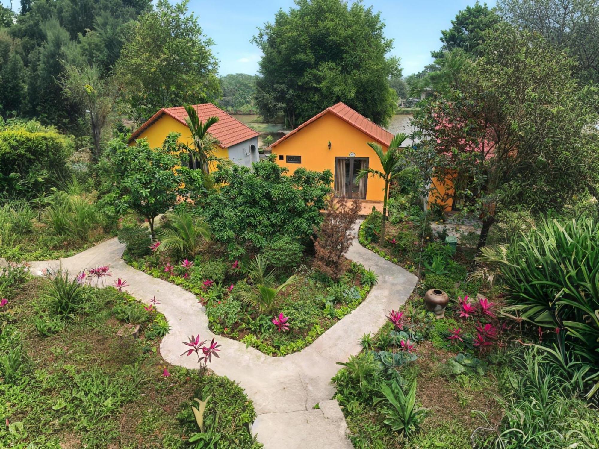 Peaceful Retreat Ninh Binh