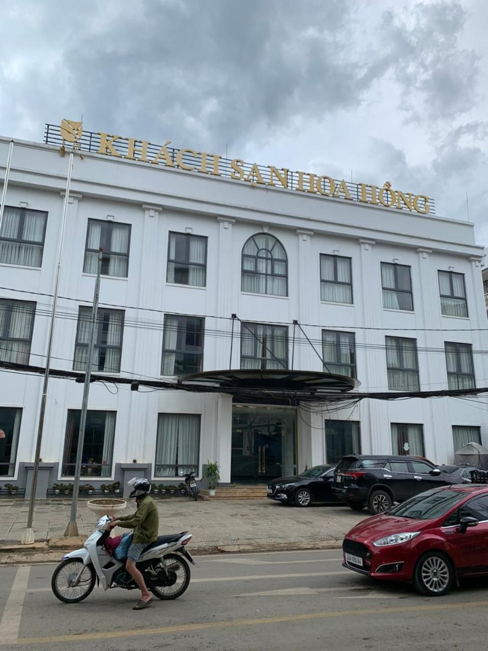 Hoa Hong 3*