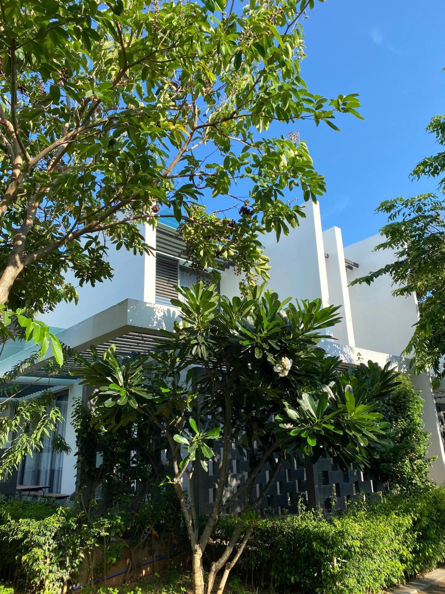 Resort Khach San - Oceanami - Long Long Hai