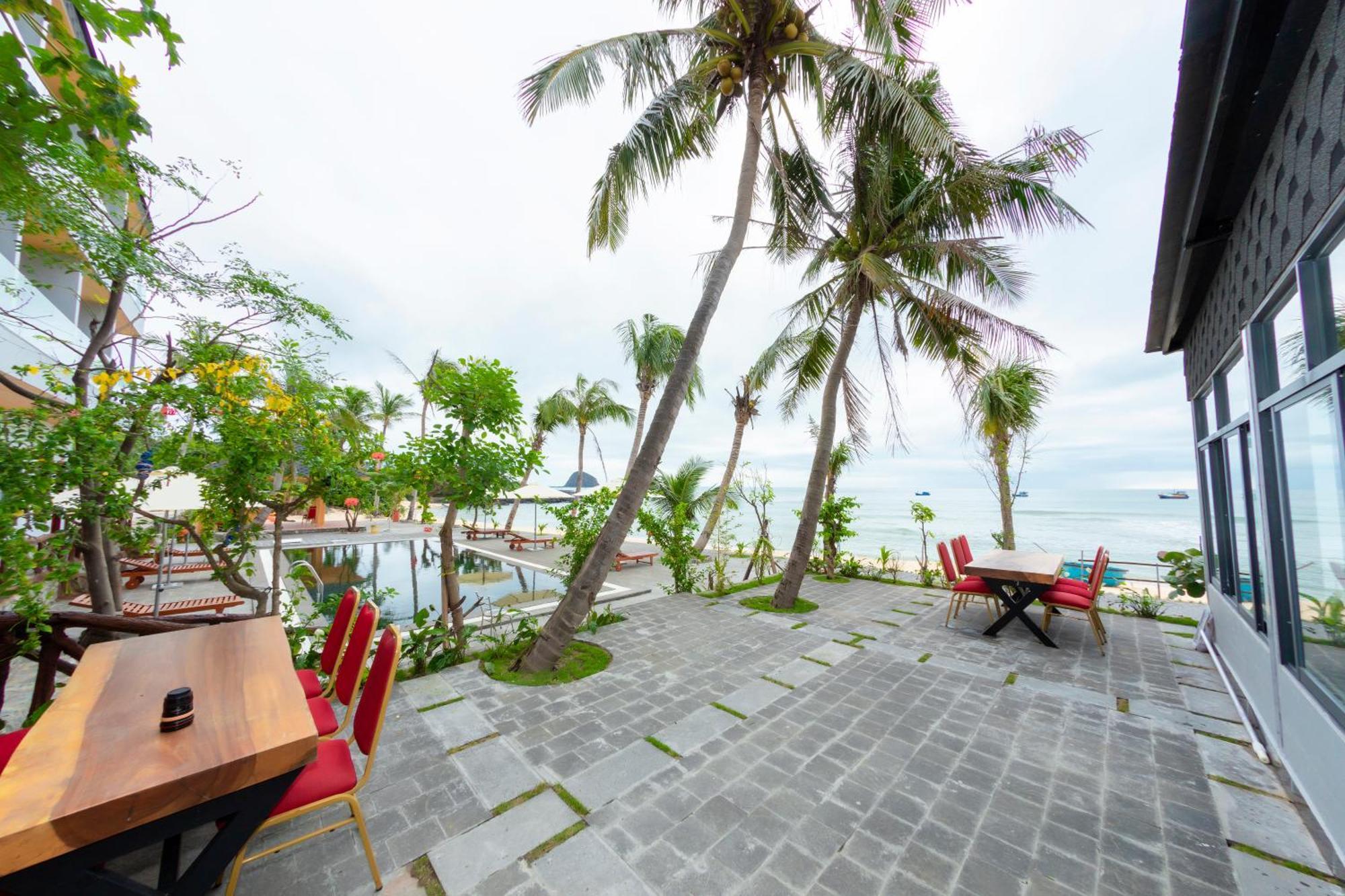 Palm Phu Yen - Kite Surfing Spot In Winter Tuy Hoa