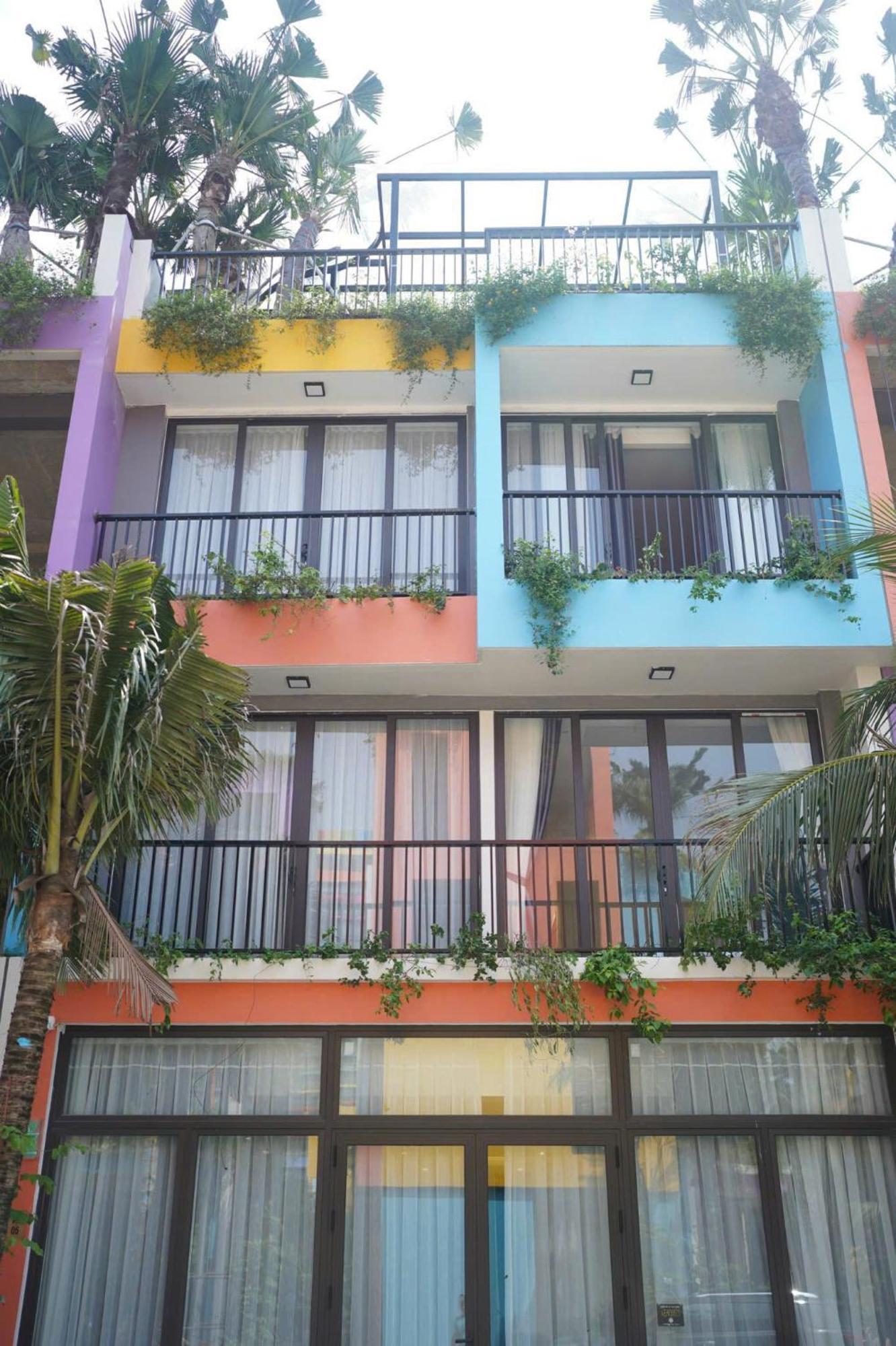 Flamingos Tien