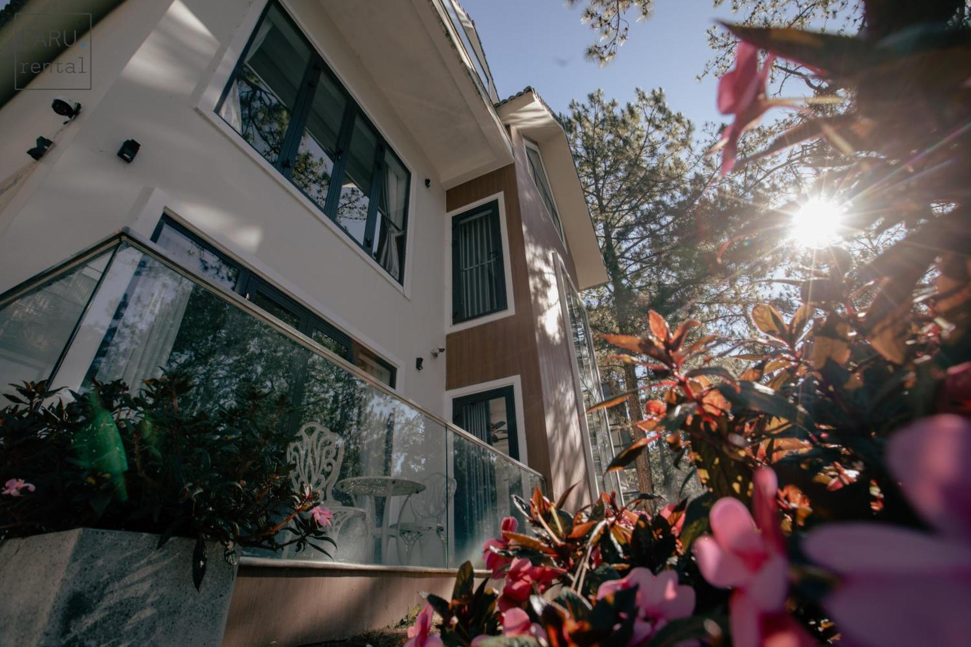 Hotel Faru Pine Woods