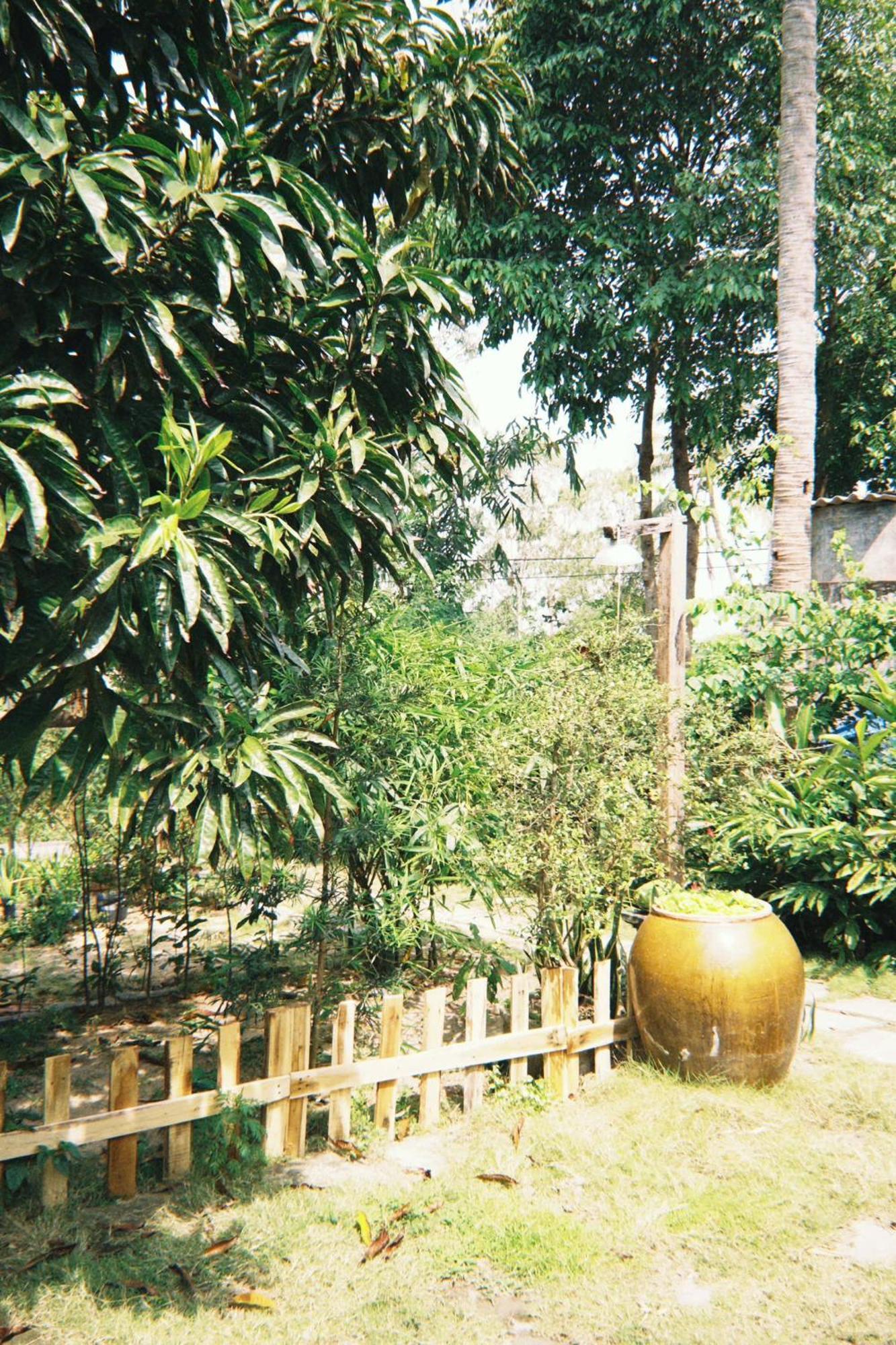 Phu Homestay *