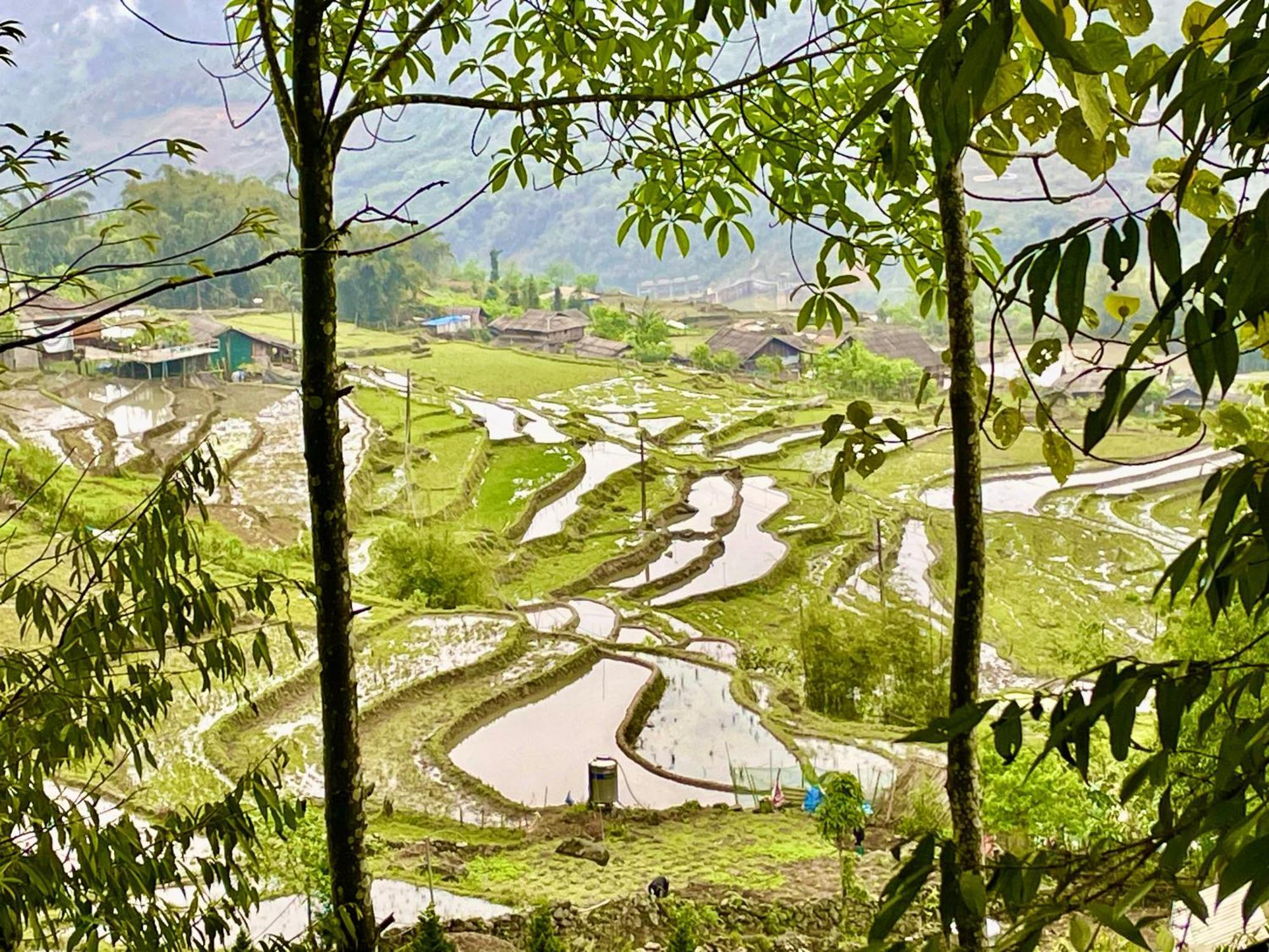Sue Pa Family Trekking Homestay Sa Pa