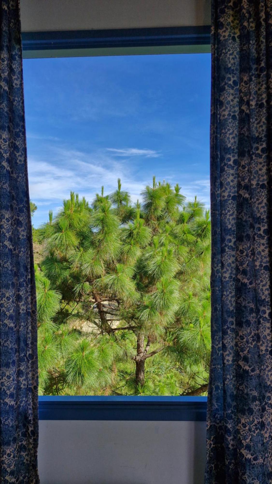 Trien Thong An Nhien Rung Trong Pho Da Lat