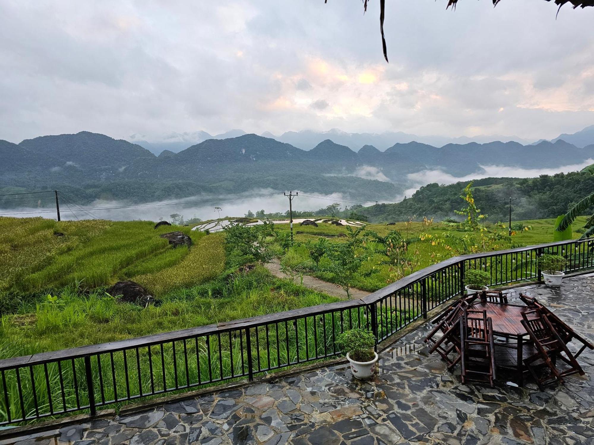 Serenity Pu Luong