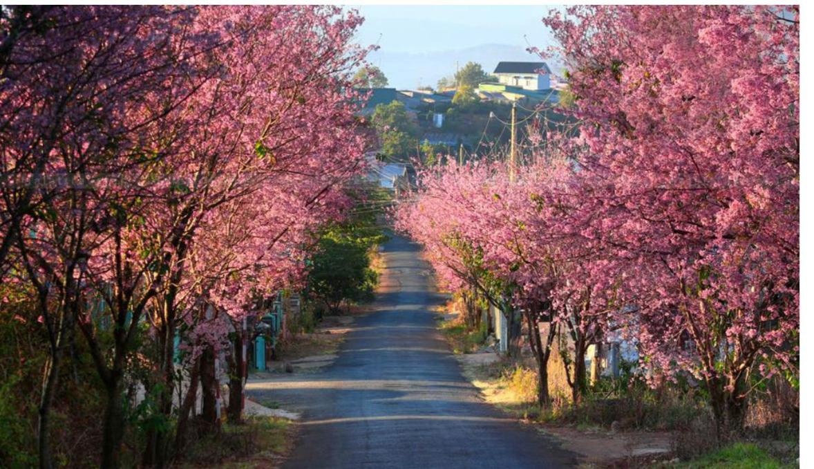 Pho Nui 3* Da Lat