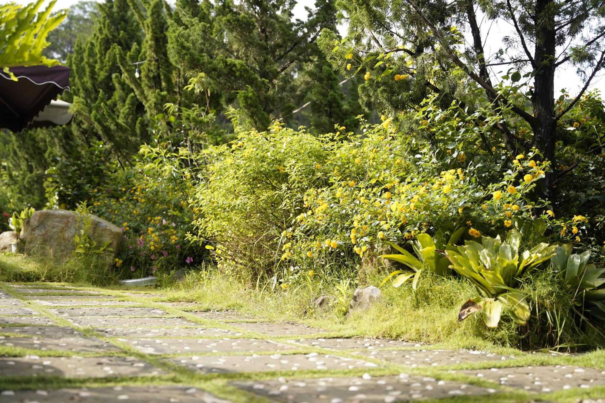 Greeneco - Khach San Eco Hotel