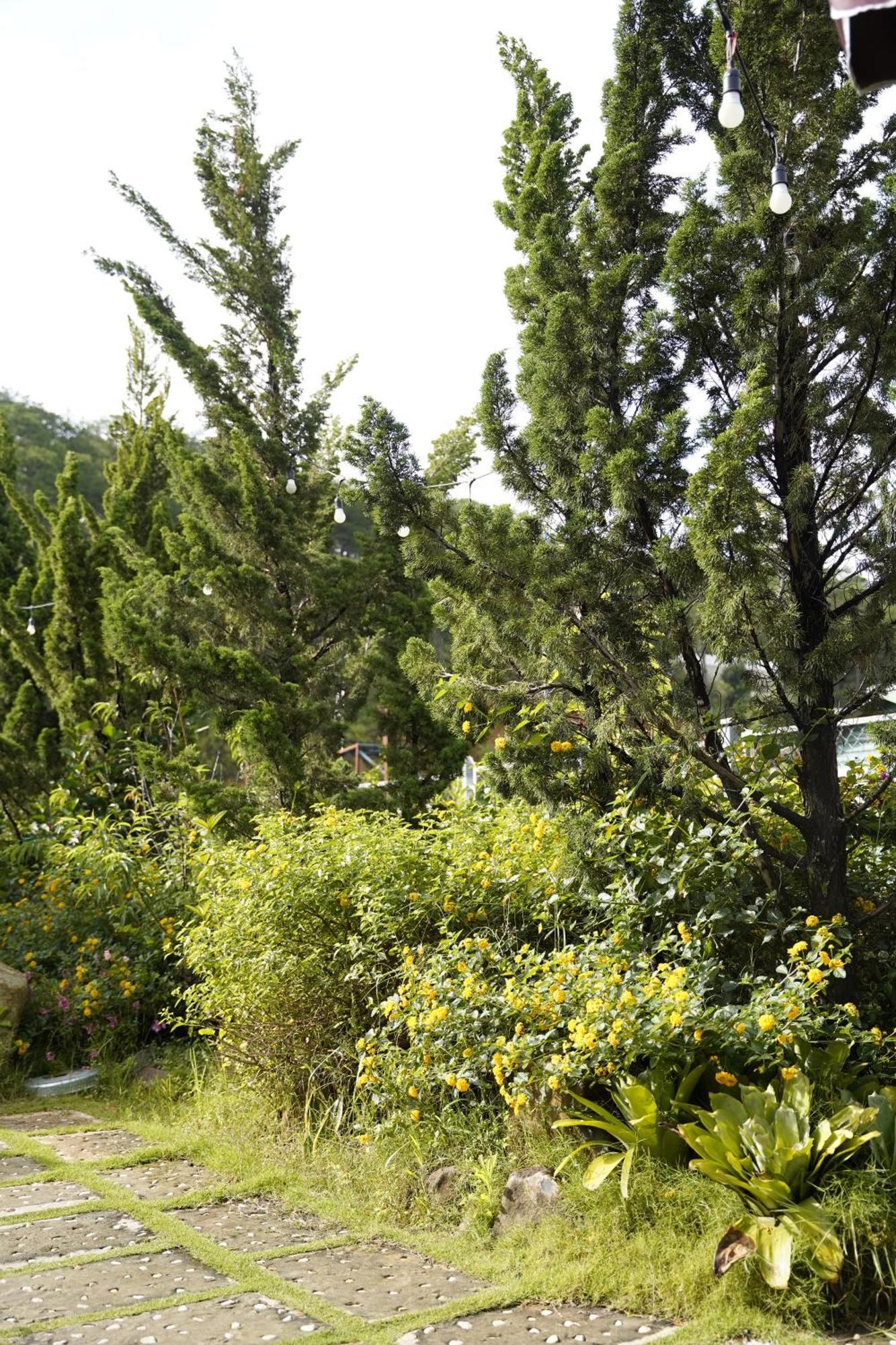 Greeneco - Khach San Eco Hotel Da Lat