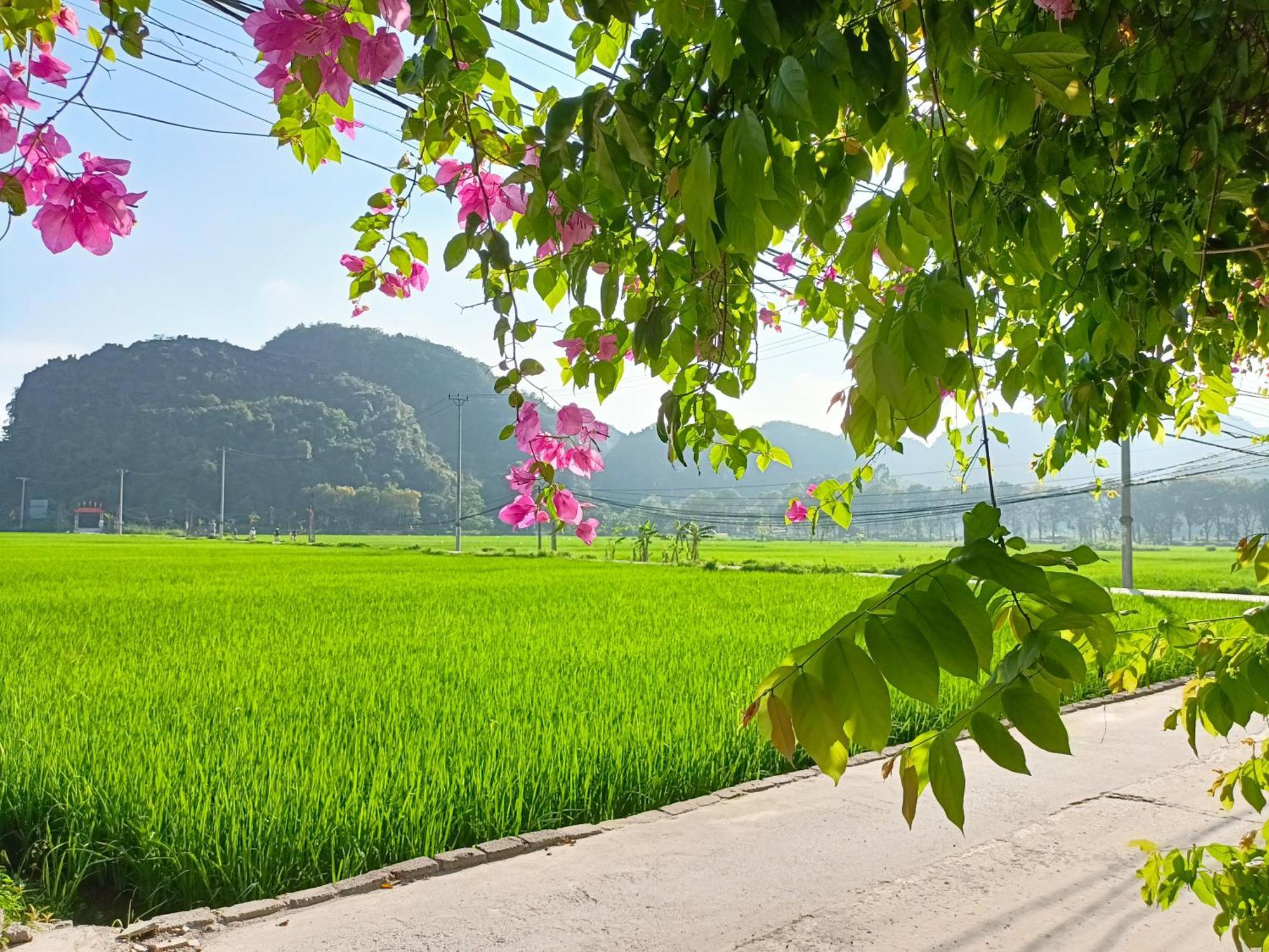 Tam Coc Sunshine Khách sạn *