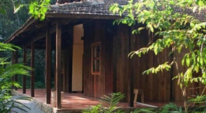 Forest Floor Lodge Cat Tien