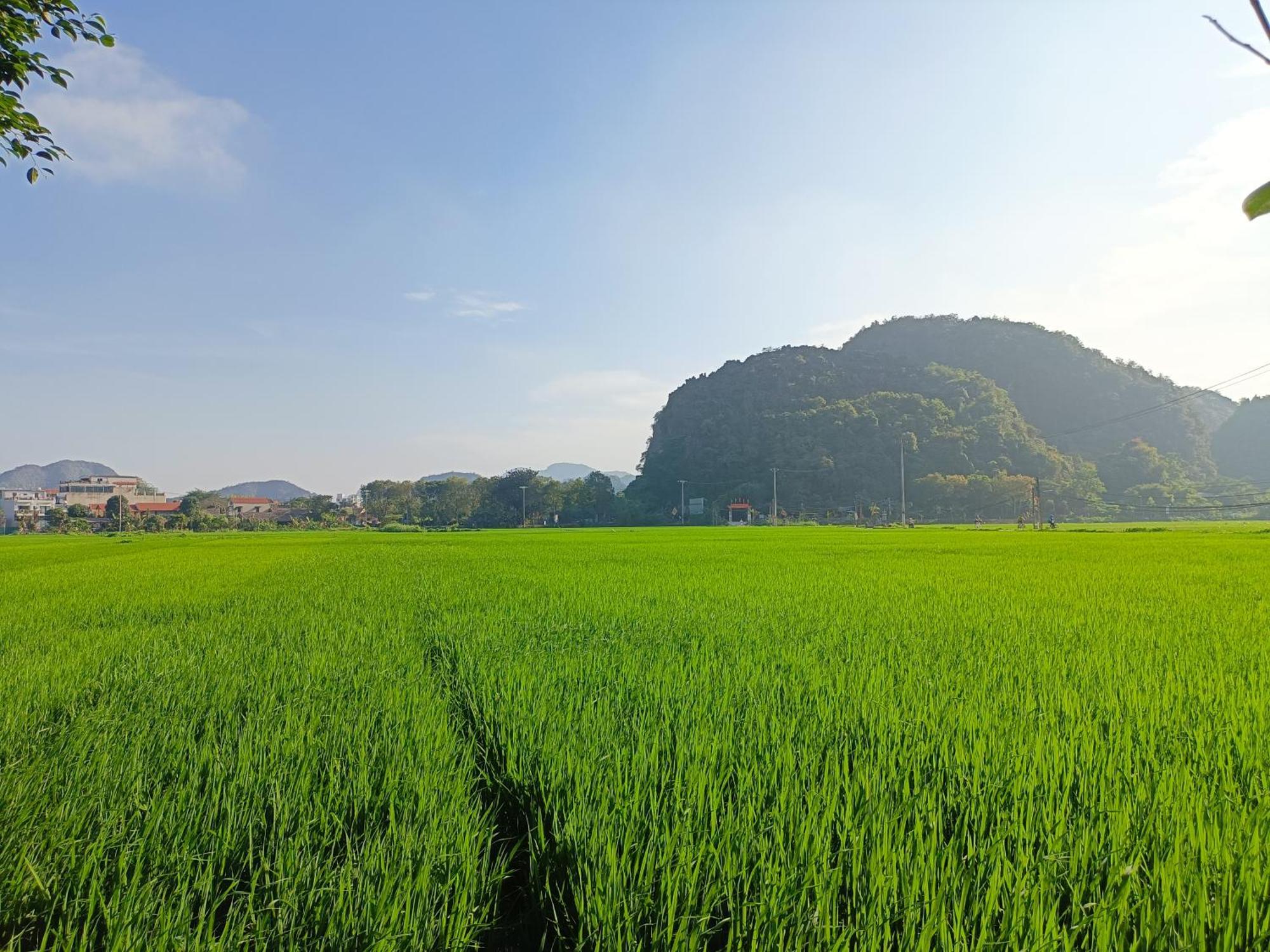 Tam Coc Sunshine * Ninh Bình