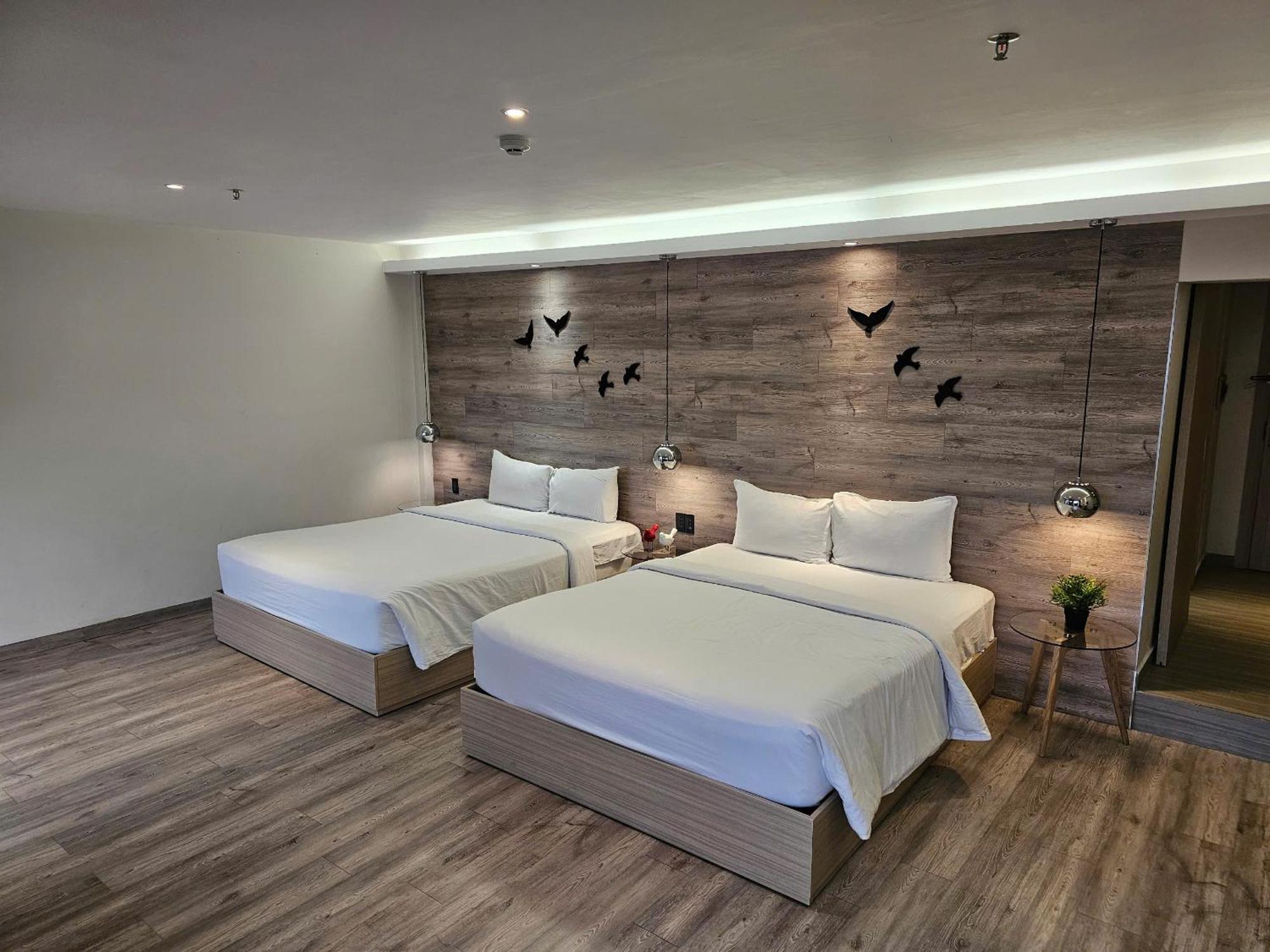 The Luxe Khách sạn