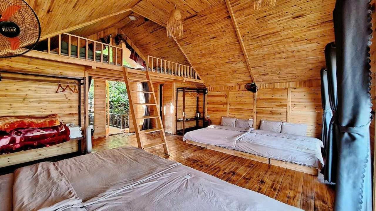 Jungle Ở trọ *