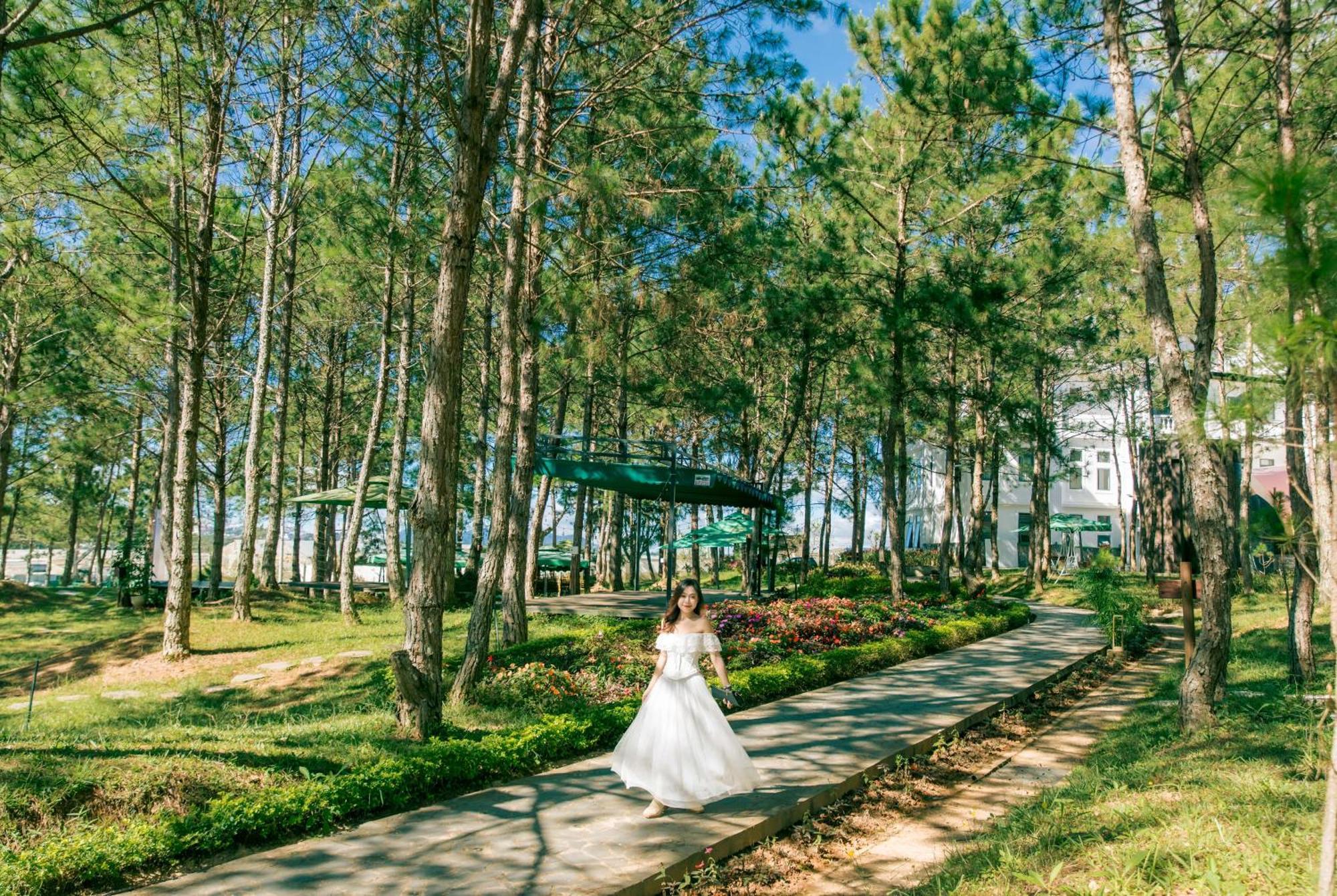Khu nghỉ mát Rừng Lá Kim 4*