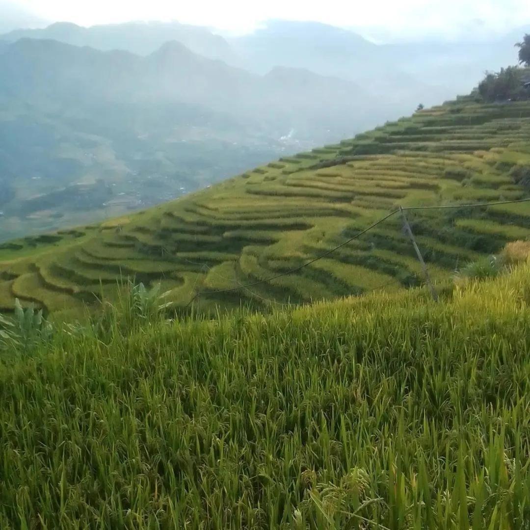 Sue Pa Family Trekking Homestay *