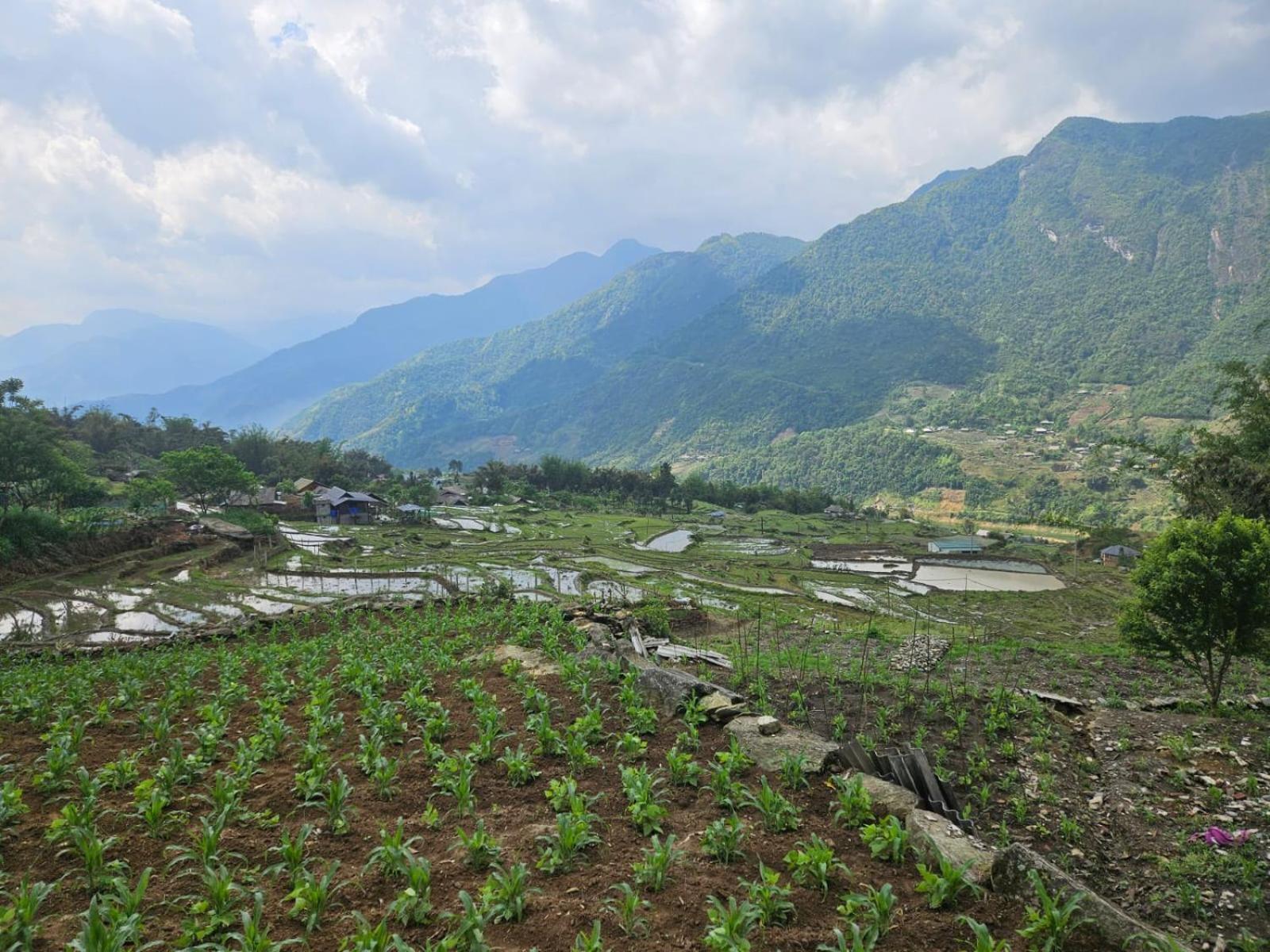Sue Pa Family Trekking Sa Pa