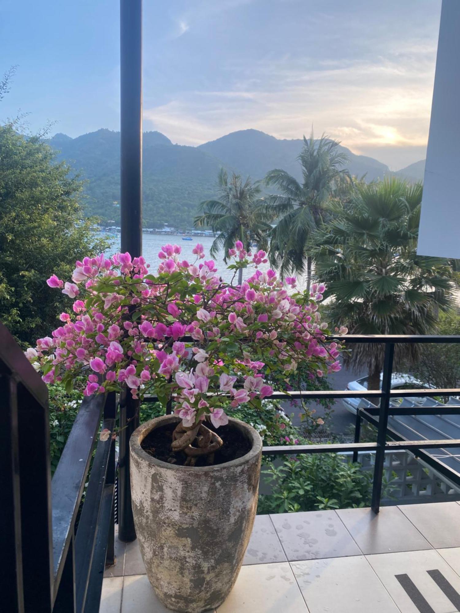 M Biệt thự *