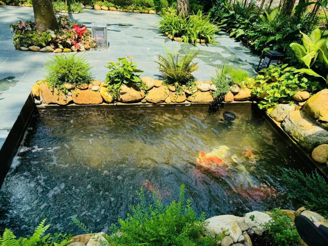 Biet Thu Chu Nha Tu Doanh Tai Flamingos Dai Lai *