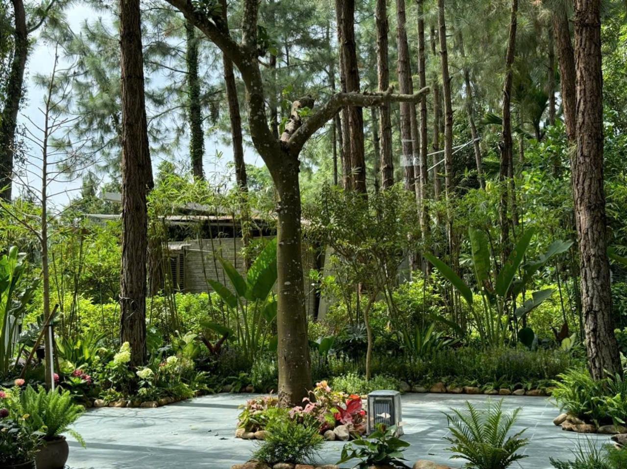 Villa Biet Thu Chu Nha Tu Doanh Tai Flamingos Dai Lai
