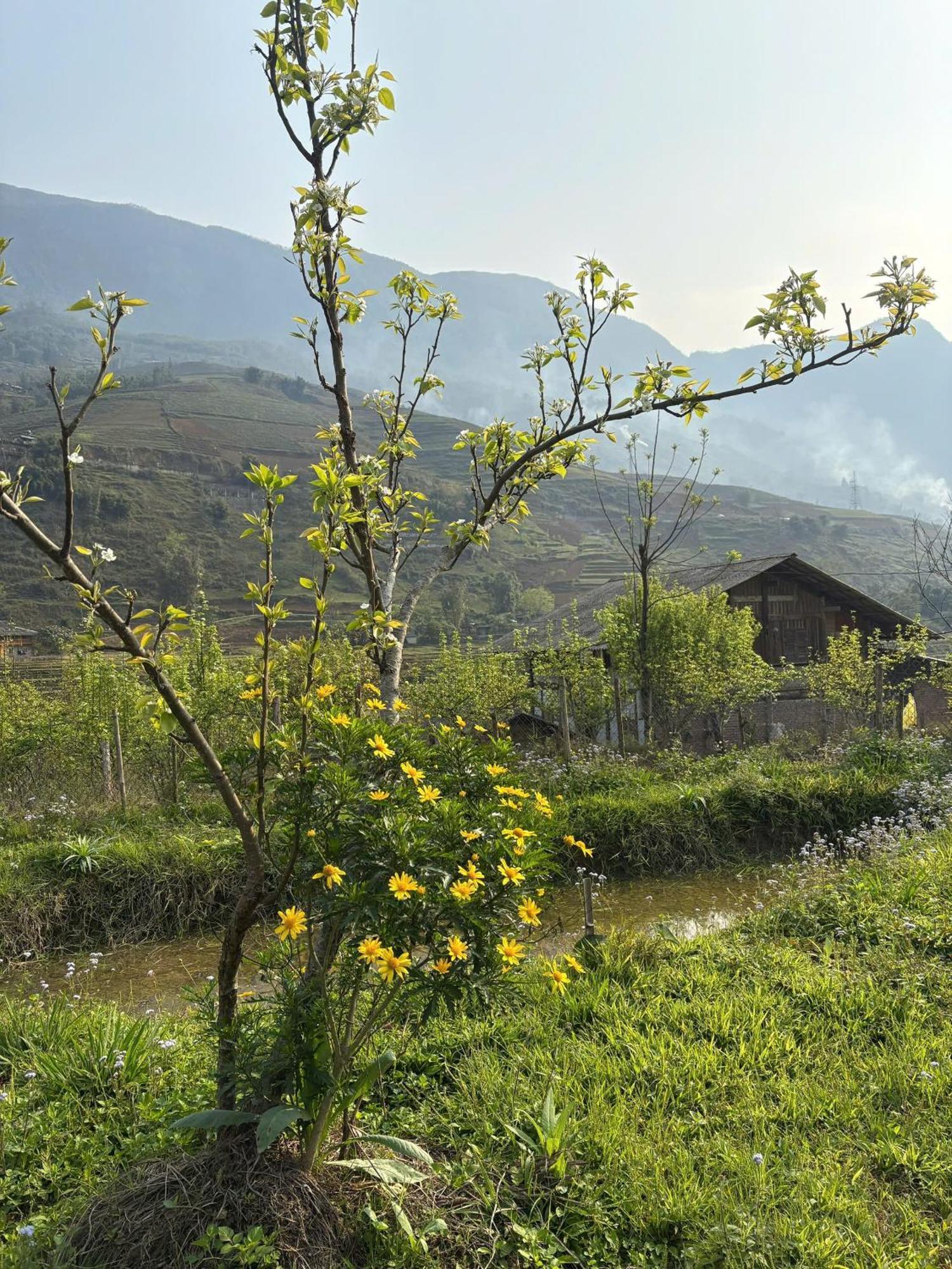Homestay Maison Rose & Jardinier Eco Sa Pa