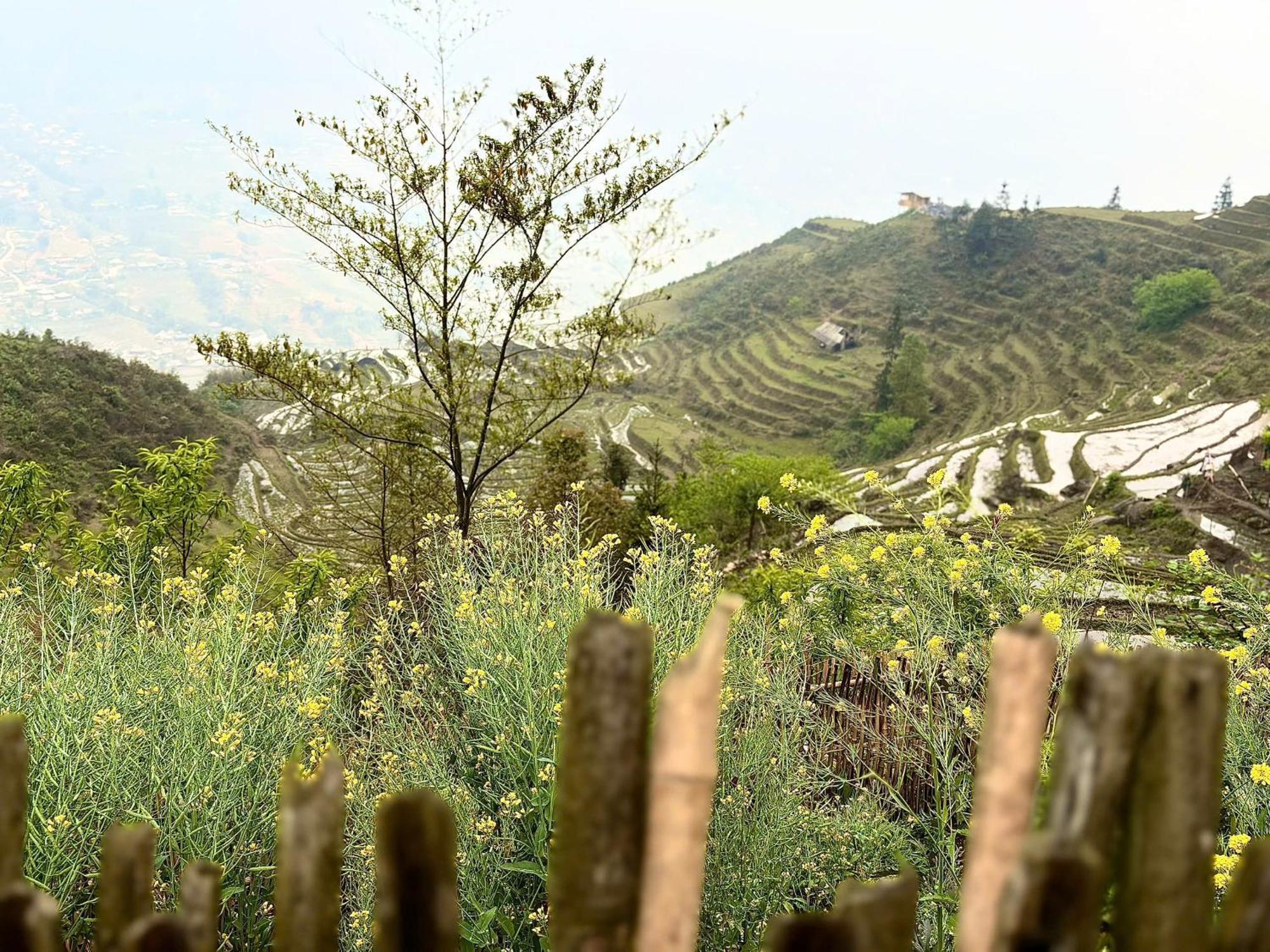 Homestay Maison Rose & Jardinier Eco Sa Pa