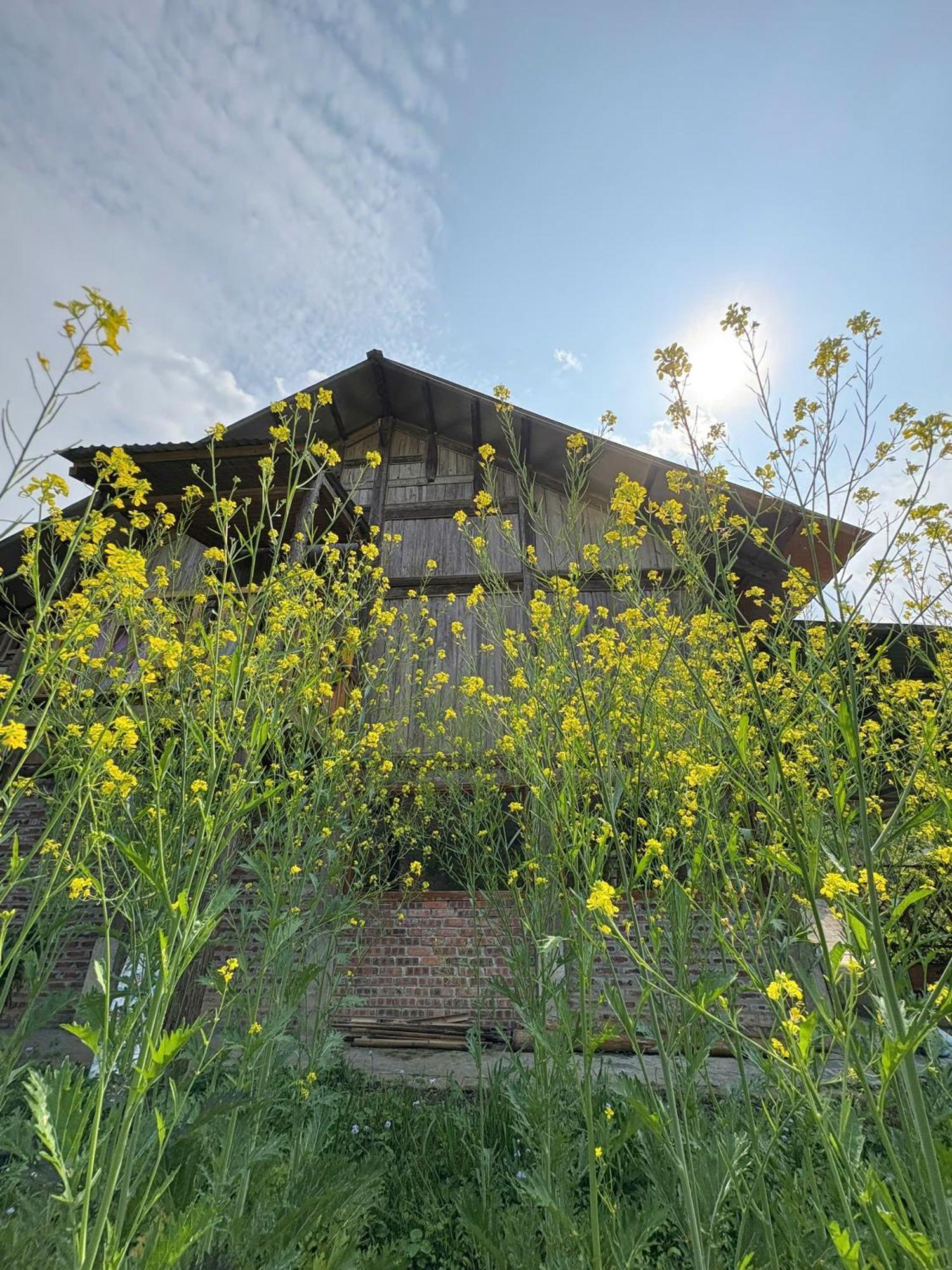 Homestay Maison Rose & Jardinier Eco *