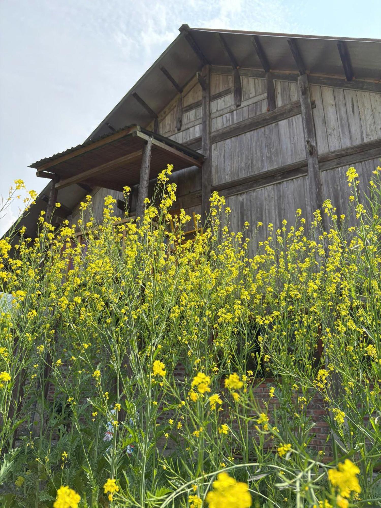Homestay Maison Rose & Jardinier Eco *
