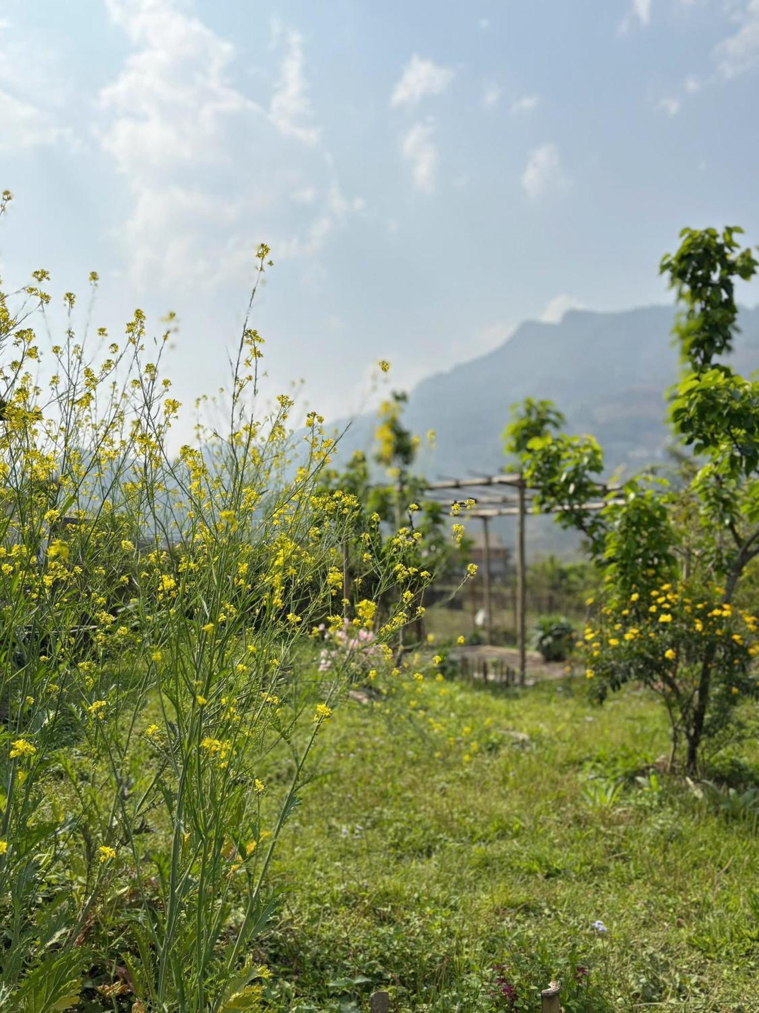 Maison Rose & Jardinier Eco * Sa Pa