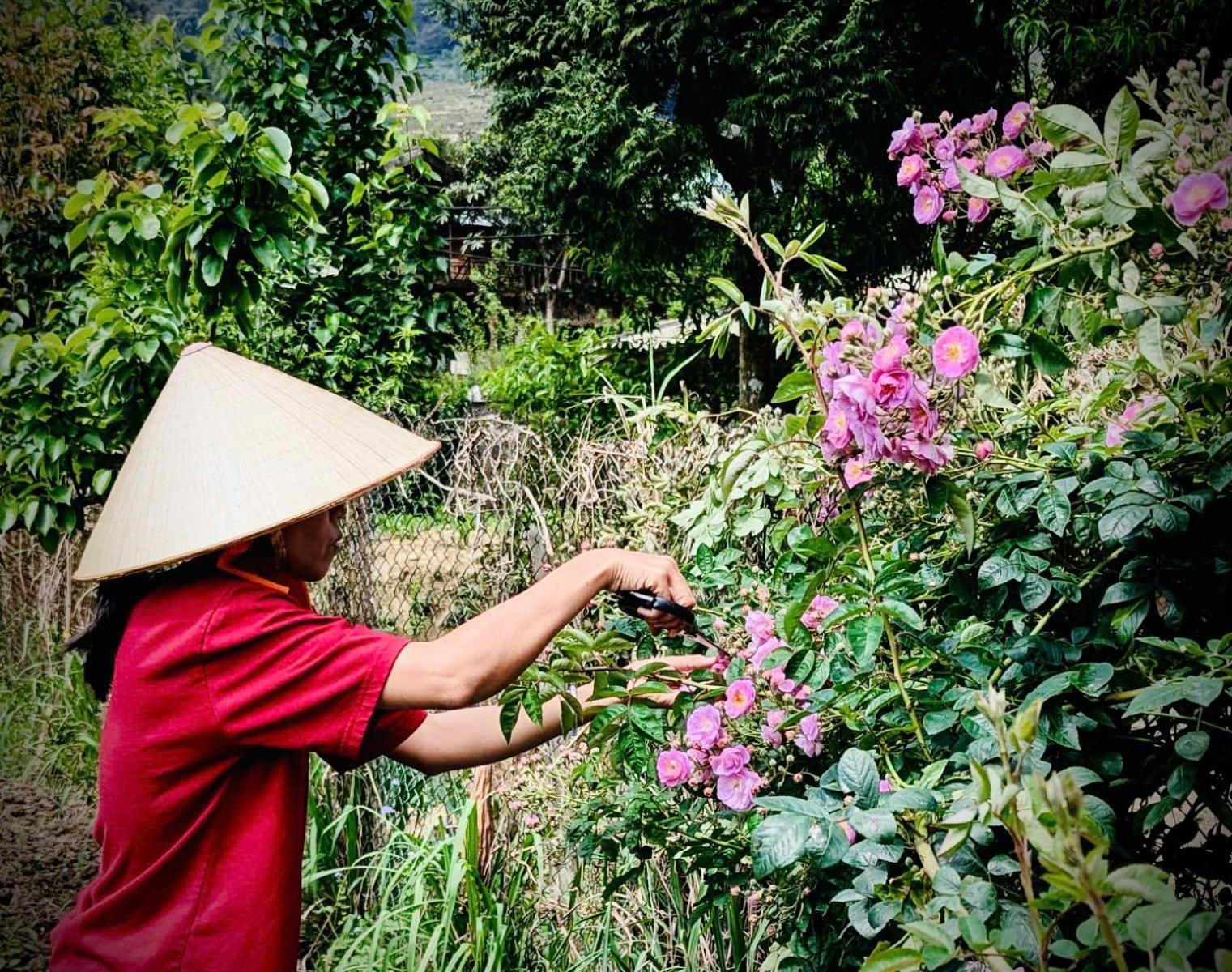 Homestay Maison Rose & Jardinier Eco