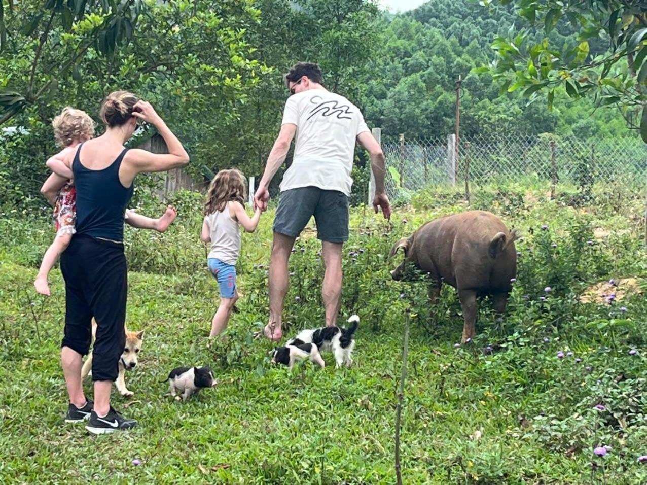 Nguyen Shack Retreat Homestay