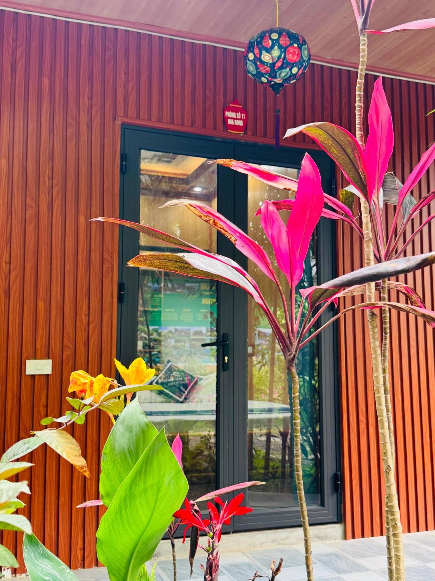 Homestay Valley - Thung Lung Xanh Nguyen Ngoai