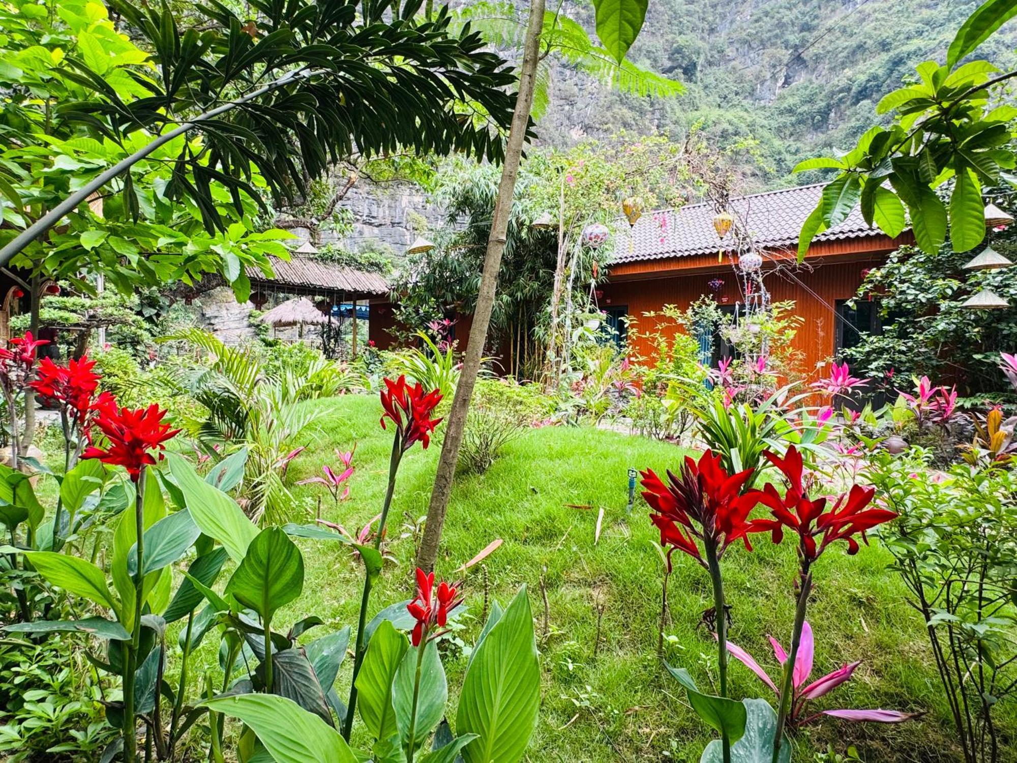 Homestay Valley - Thung Lung Xanh