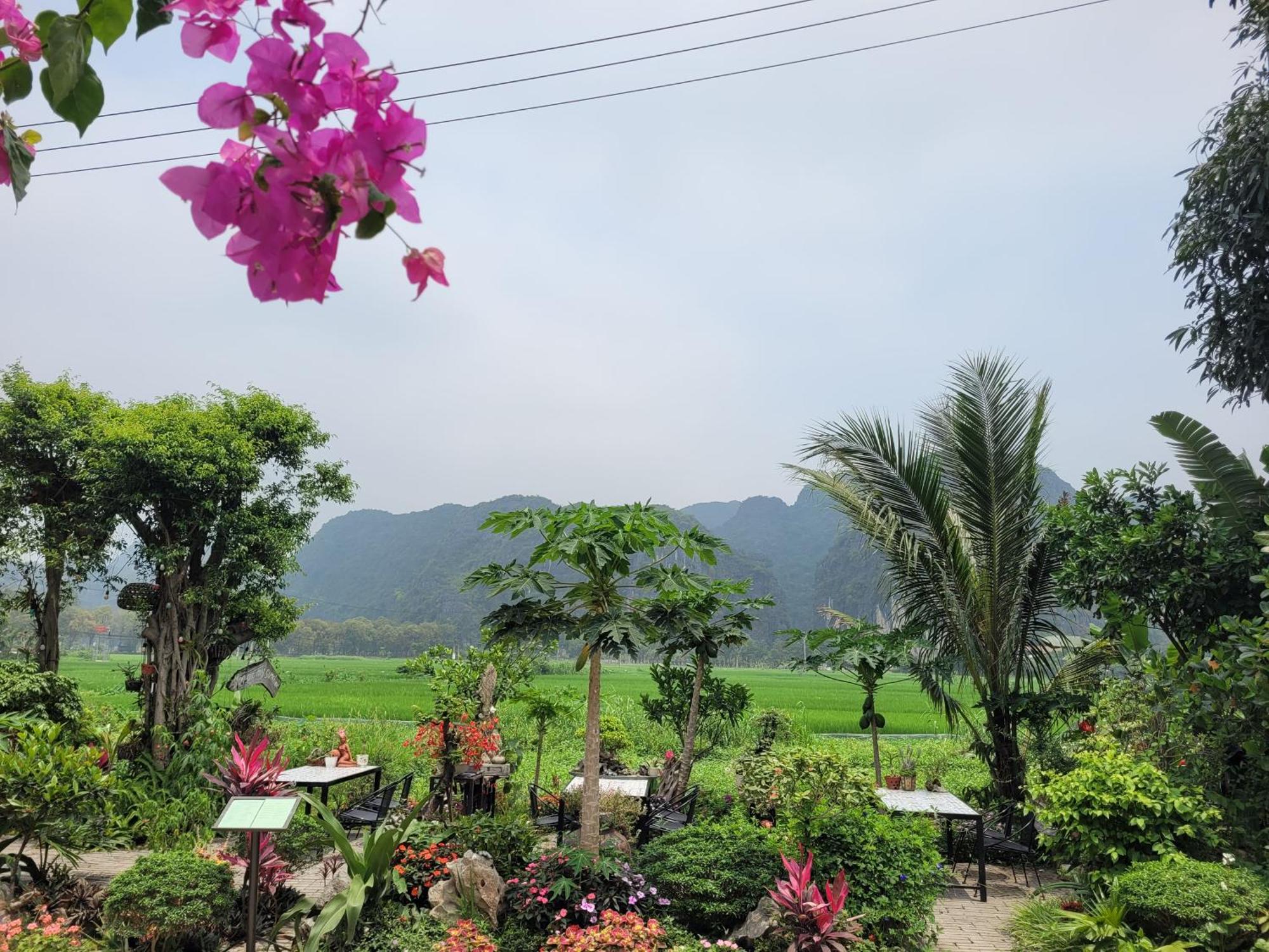 Amazing View Homestay