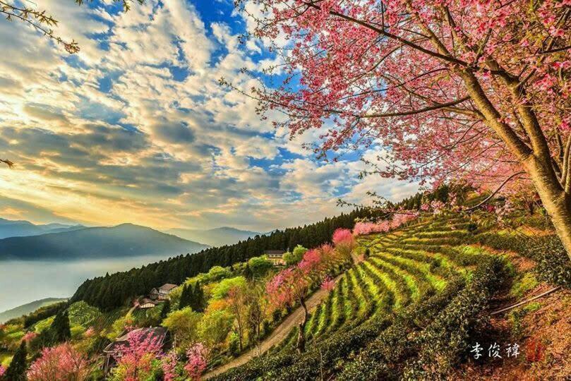 Ha Giang Sa Pa