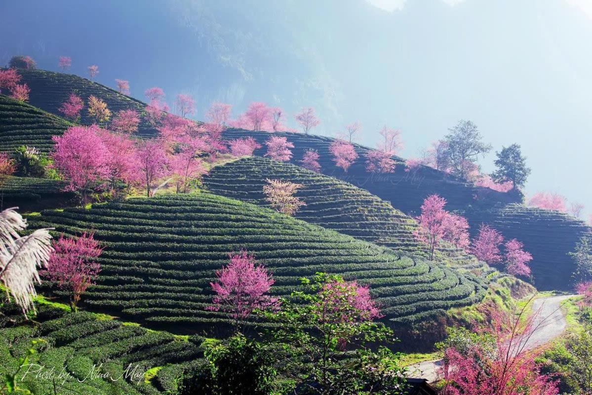Ha Giang 2* Sa Pa