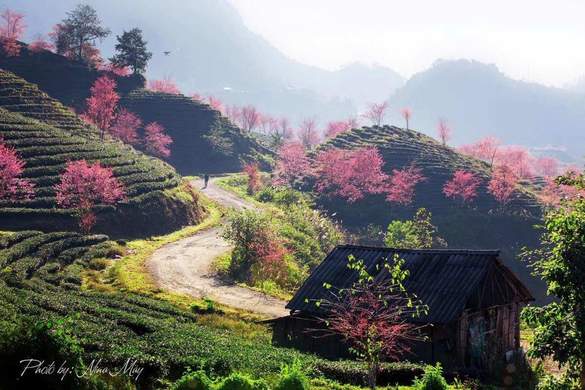 Ha Giang