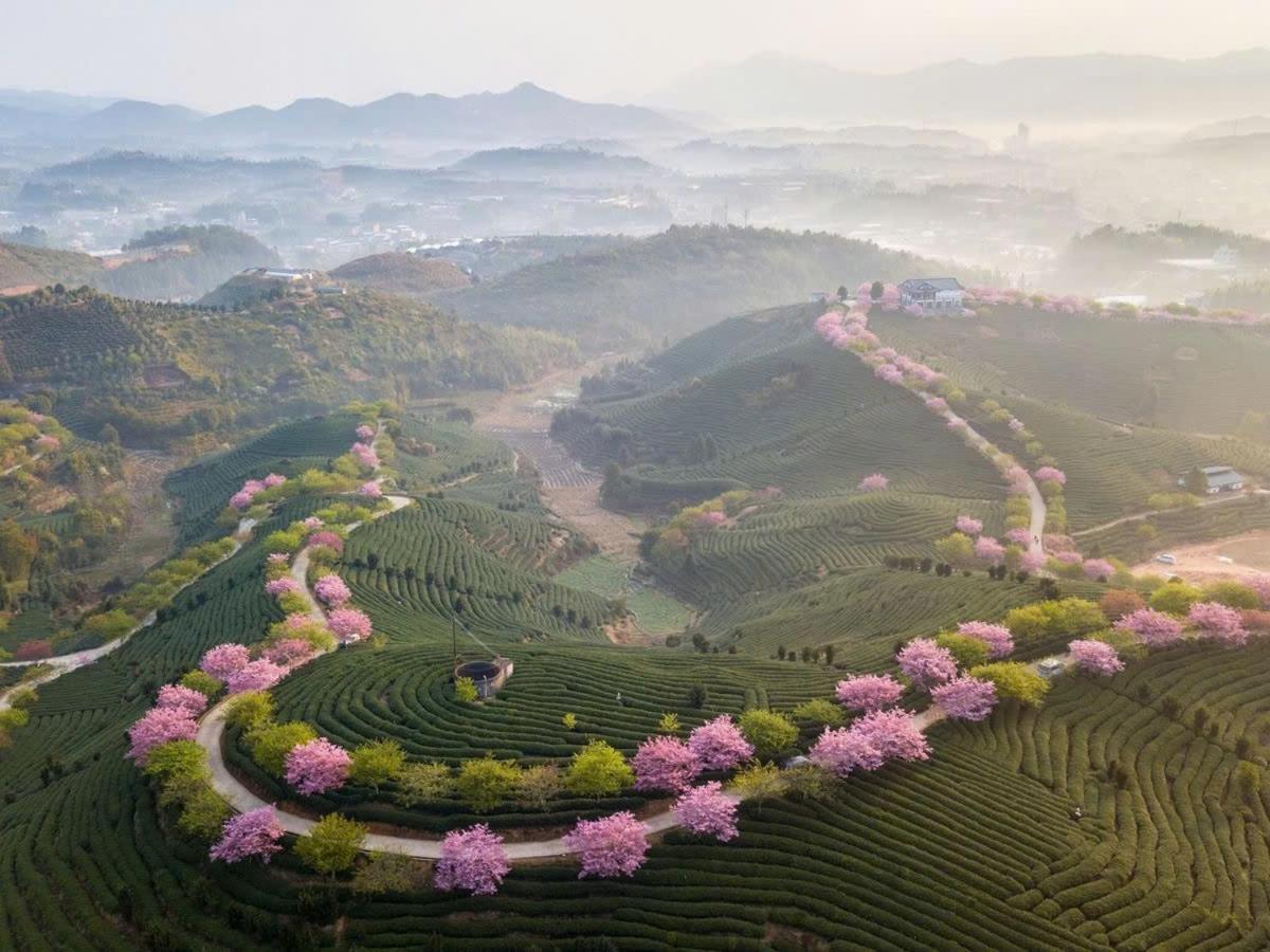 Ha Giang Hotel Sa Pa