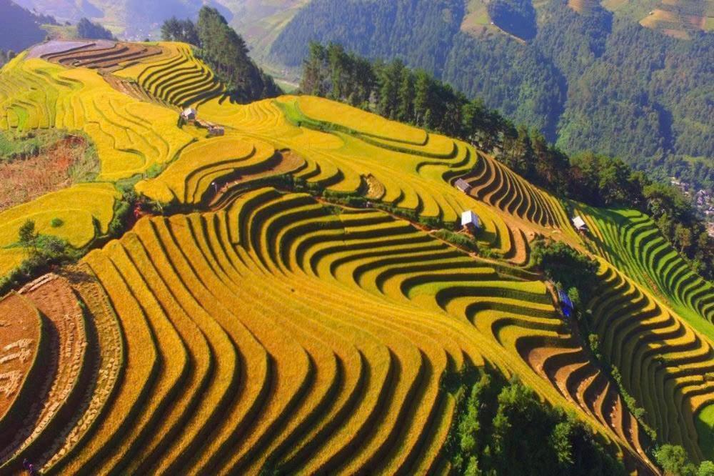 Ha Giang 2*