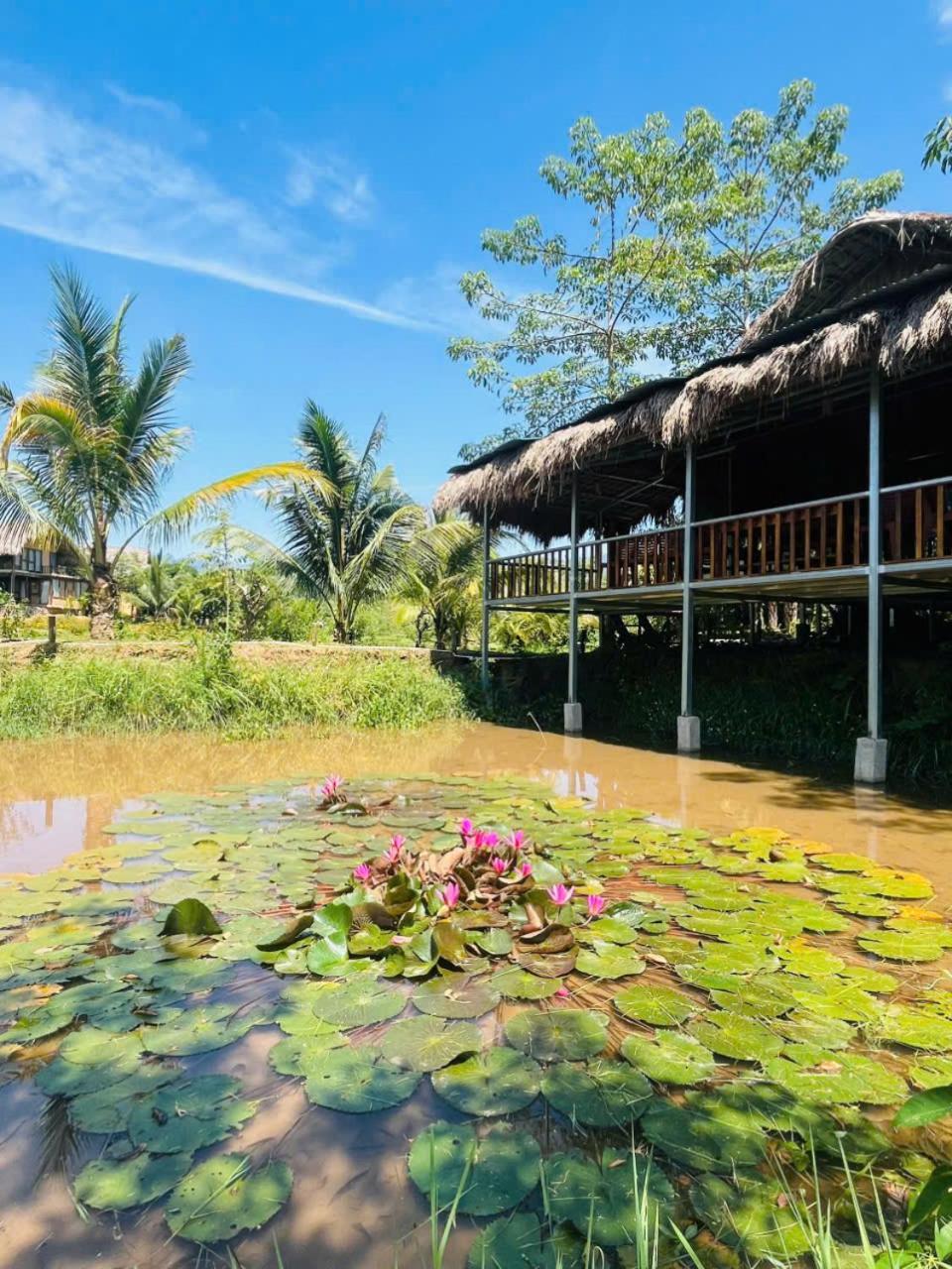 Onsen Retreat Hotel 4*