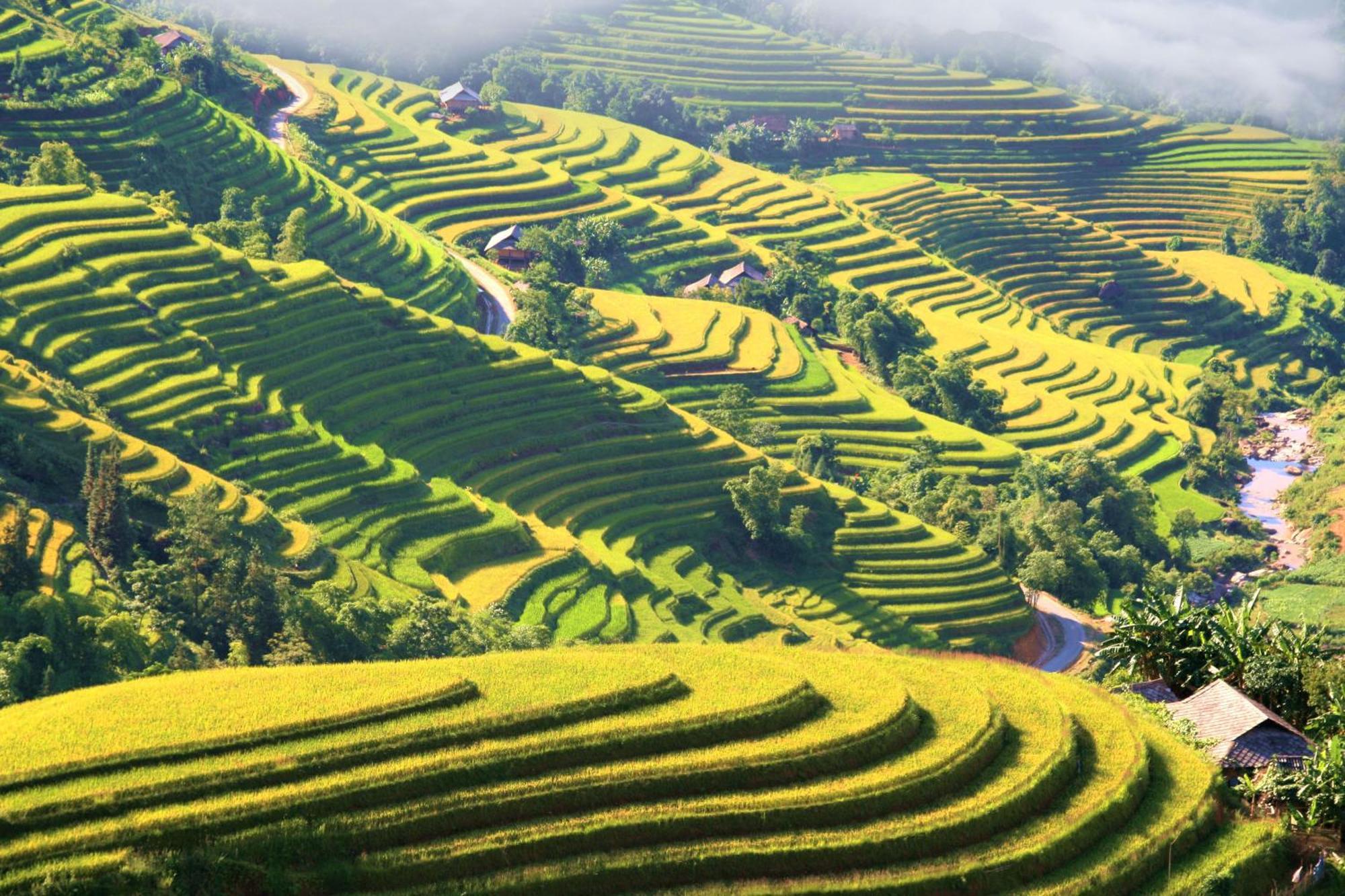 Hotel Eco Farmer House & Restaurant, Coffee - Muong Hoa, Sa Pa
