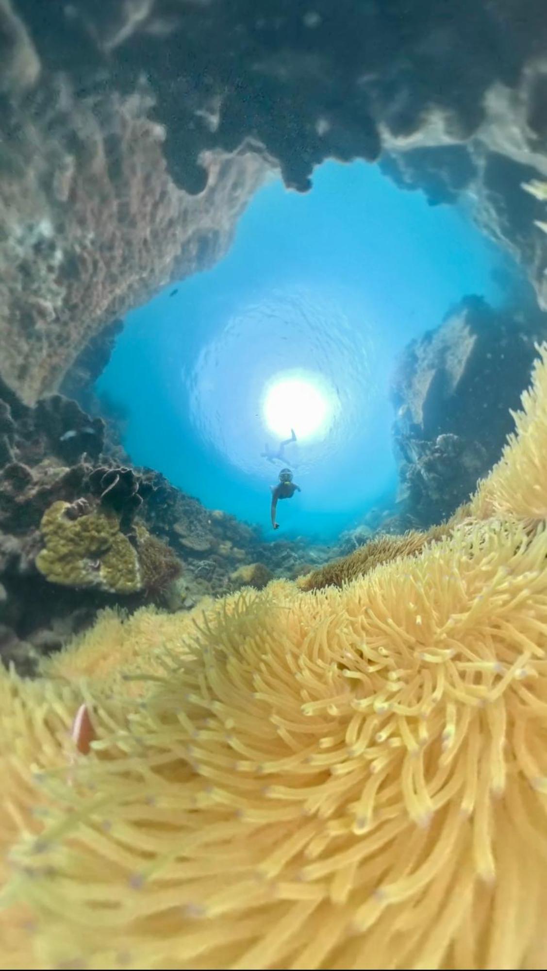 Coral Bay Master * Phu Quoc