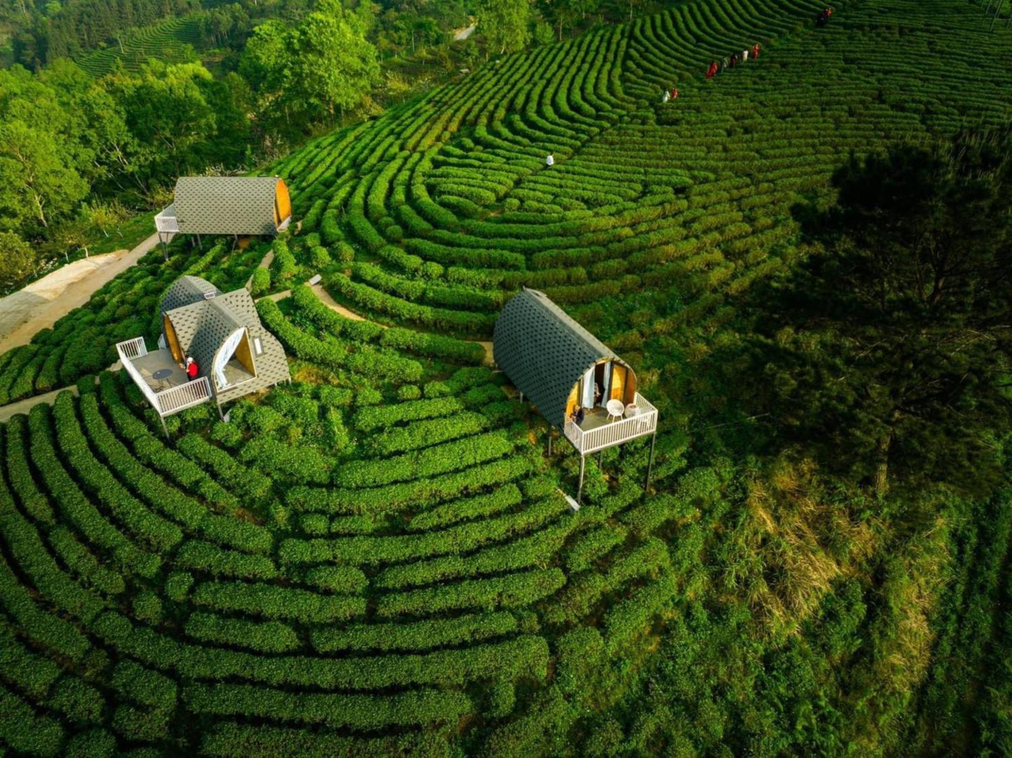 Kolia Cao Bang