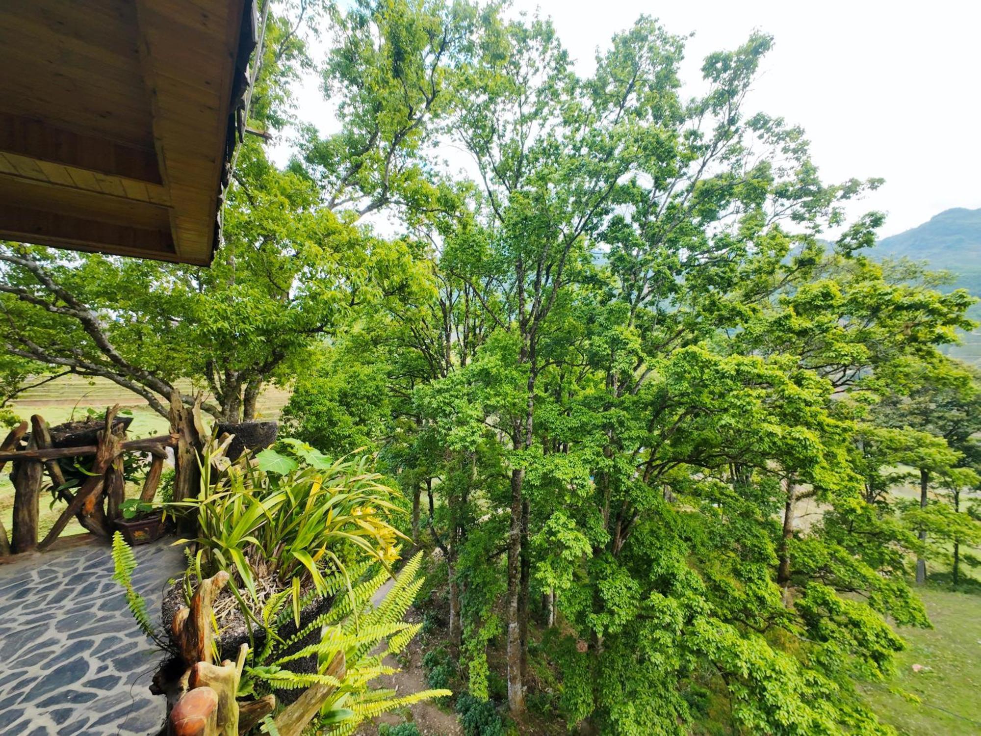 Mt House - Mountain & Terraced Fields View * Sa Pa