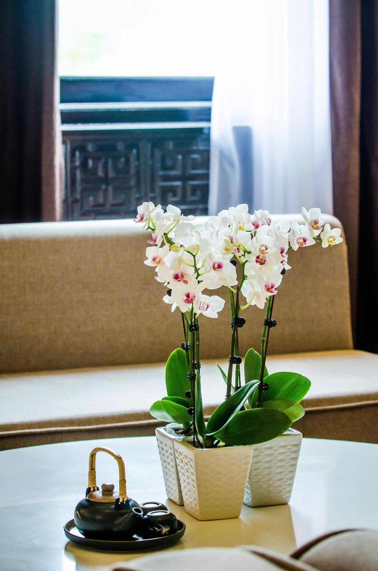 Hotel Khach Xa Bai Dinh 3*