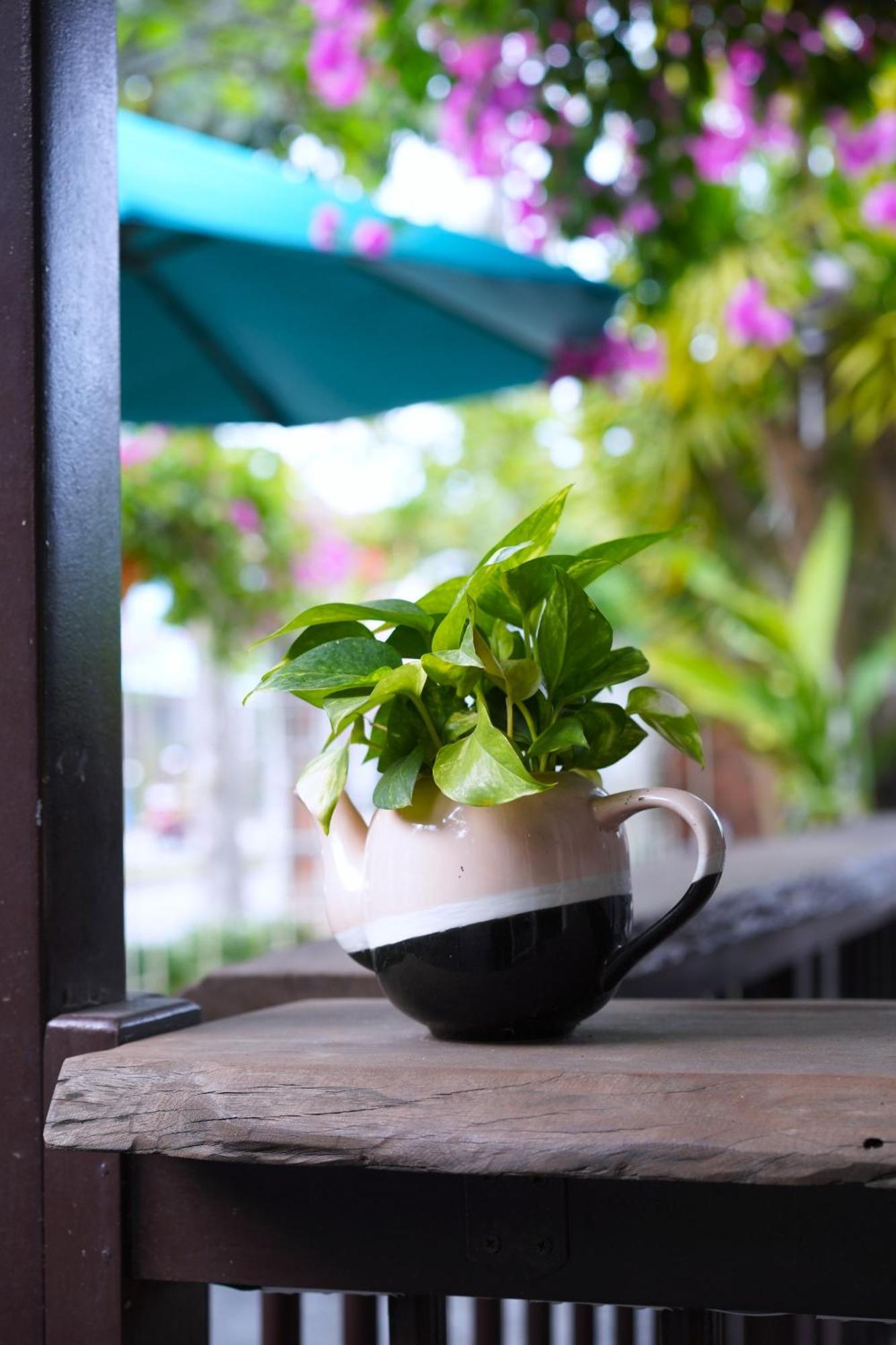 Ancient Garden Boutique 4* Hoi An