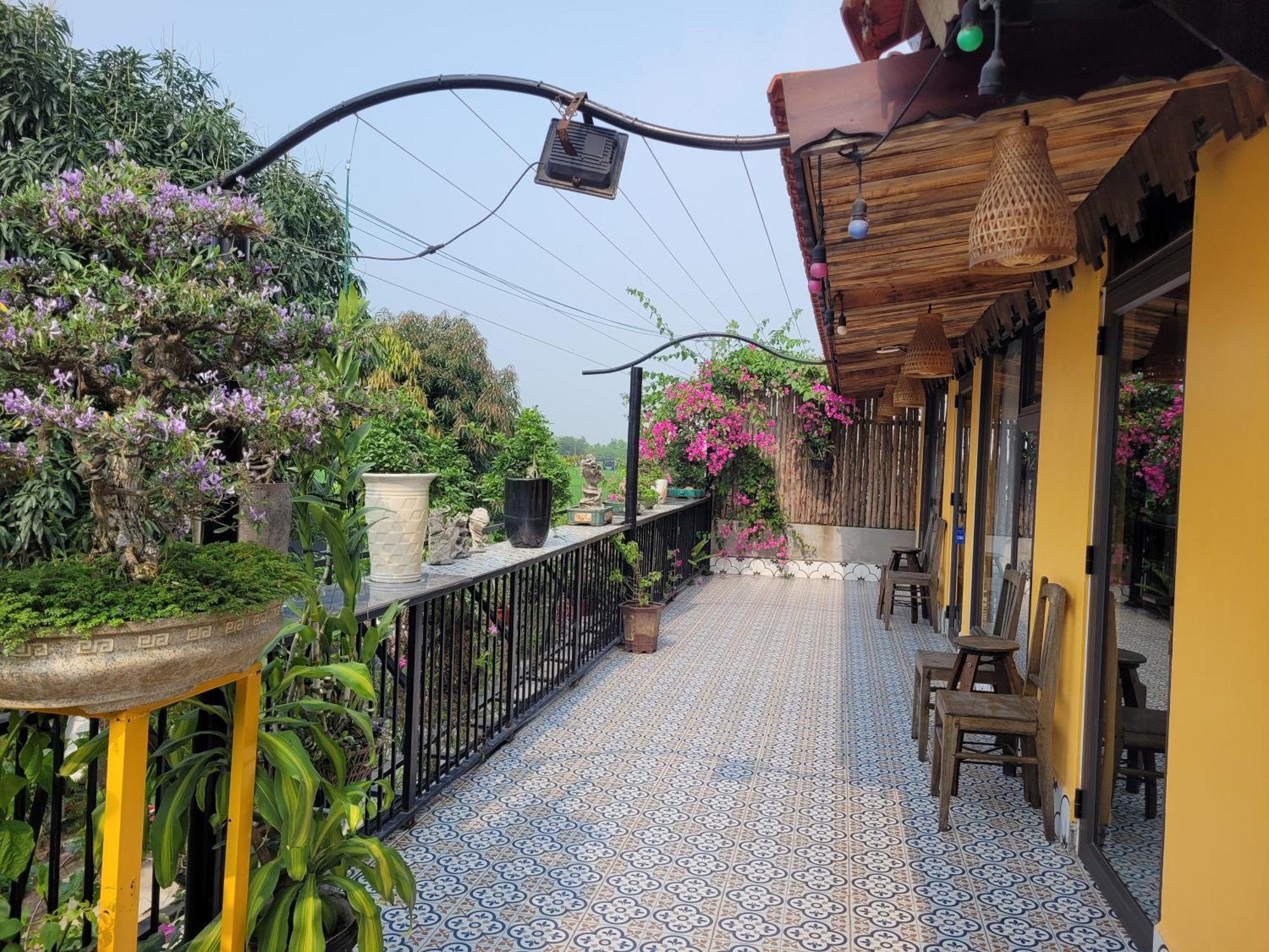 Amazing View Homestay *